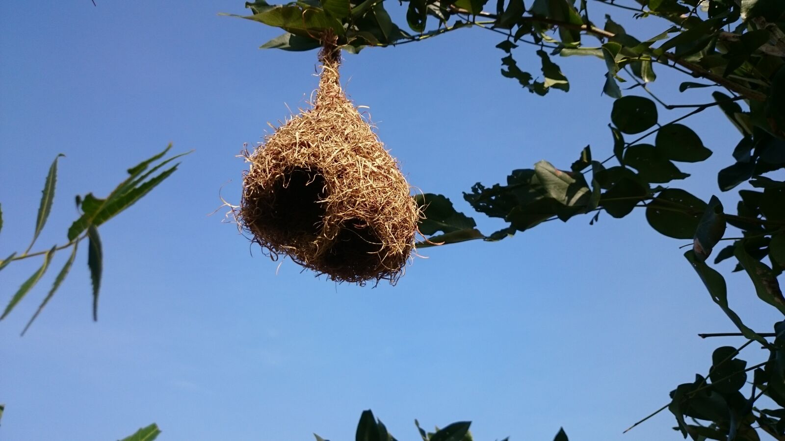 Sony Xperia Z2 sample photo