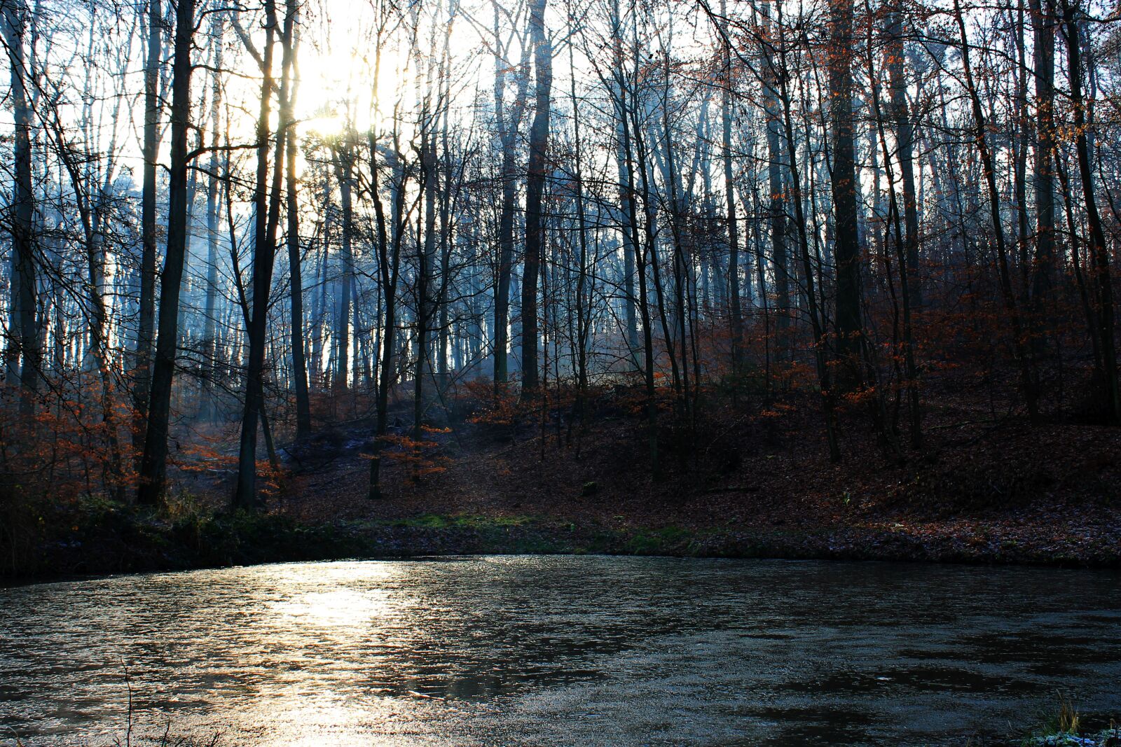 Canon EOS 1100D (EOS Rebel T3 / EOS Kiss X50) sample photo. Lake, forest, trees photography