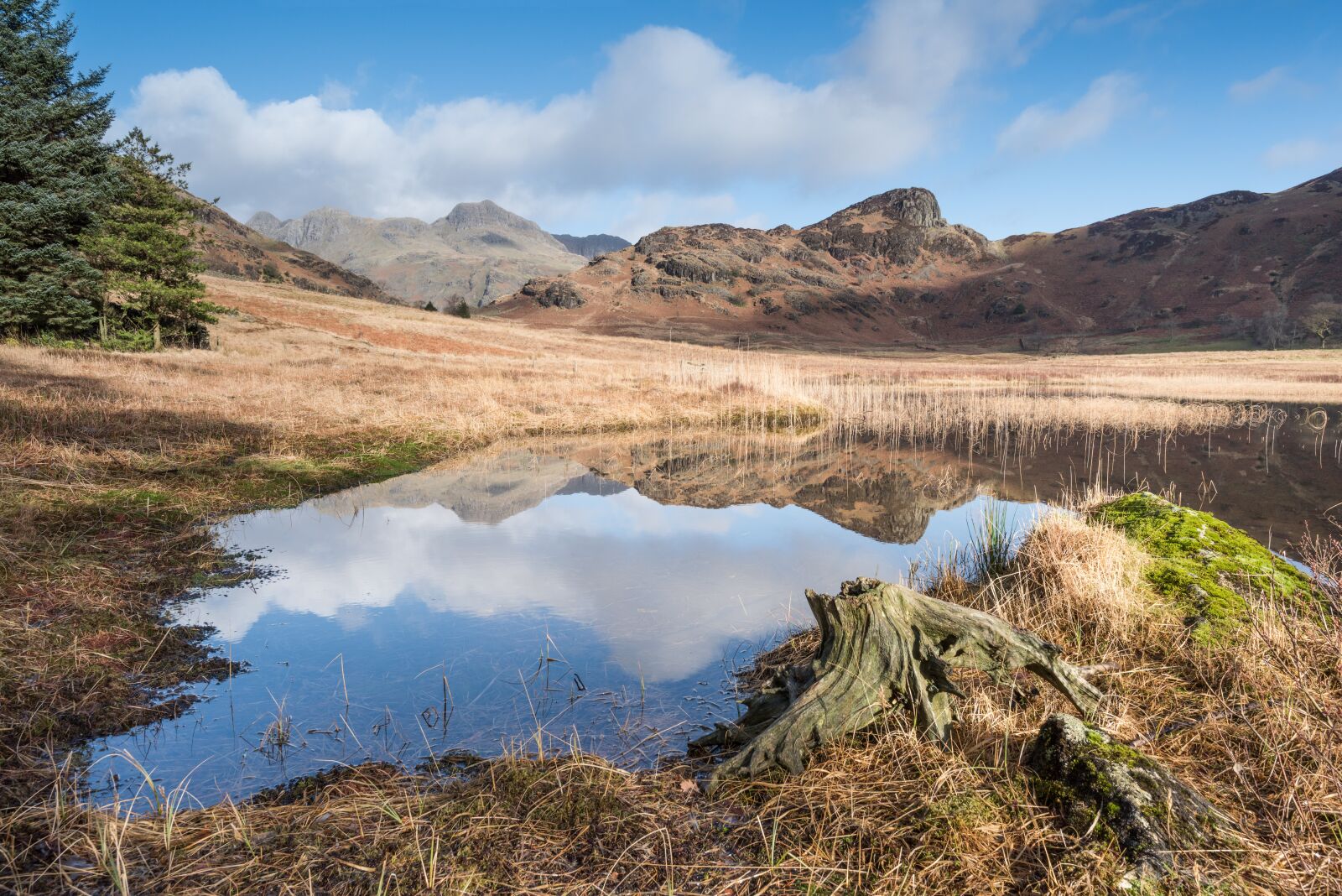Nikon D810 sample photo. Lake district, blea tarn photography