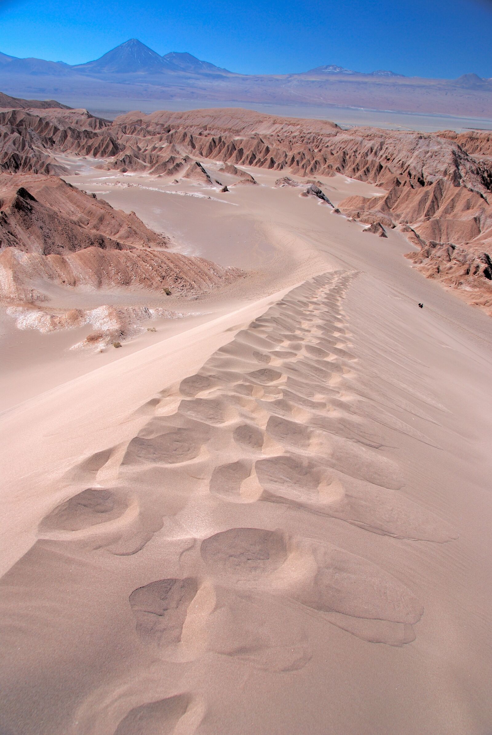 Nikon D80 sample photo. Chile, desert, san pedro photography