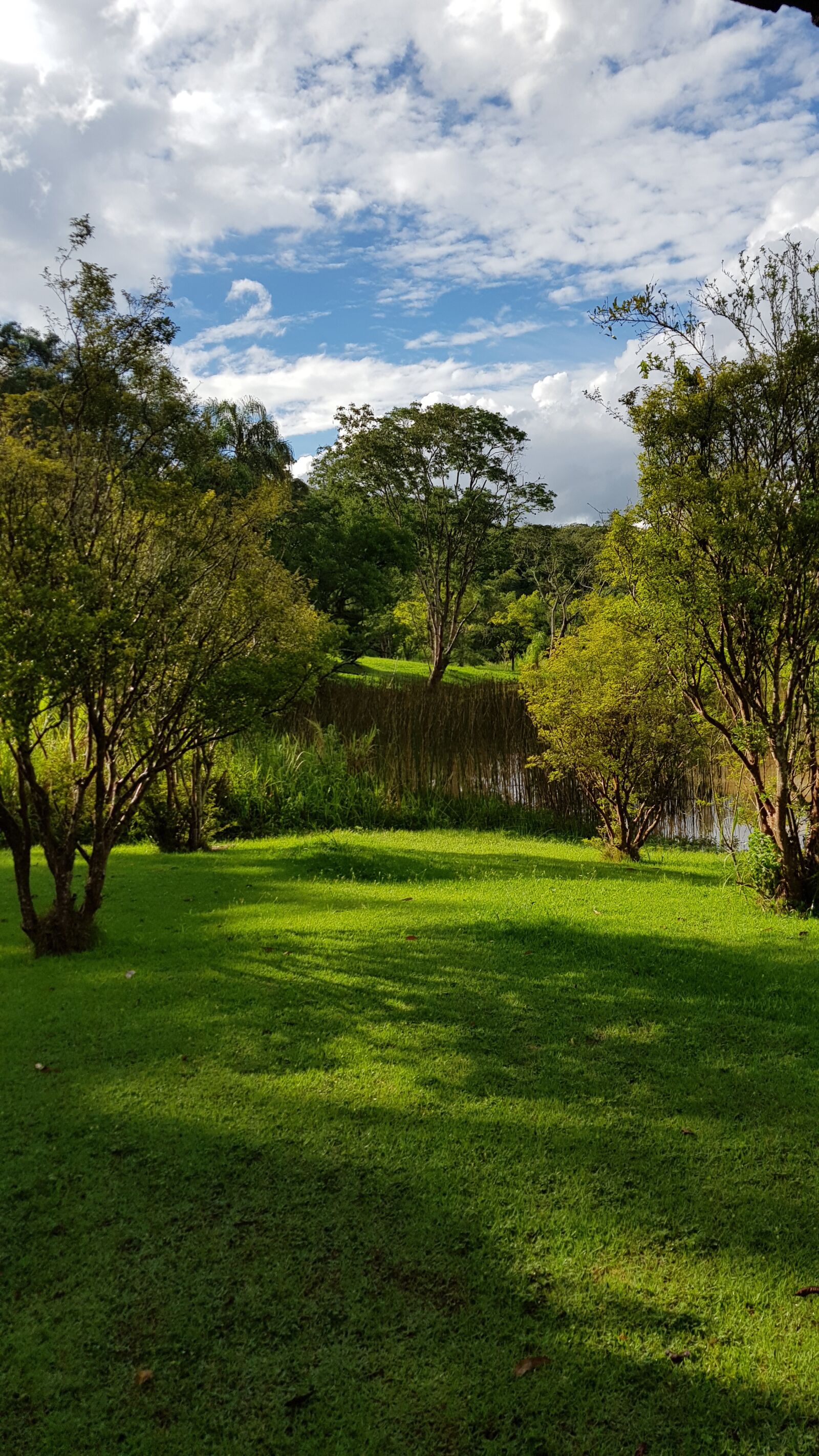 Samsung Galaxy S8+ sample photo. S o roque, nature photography