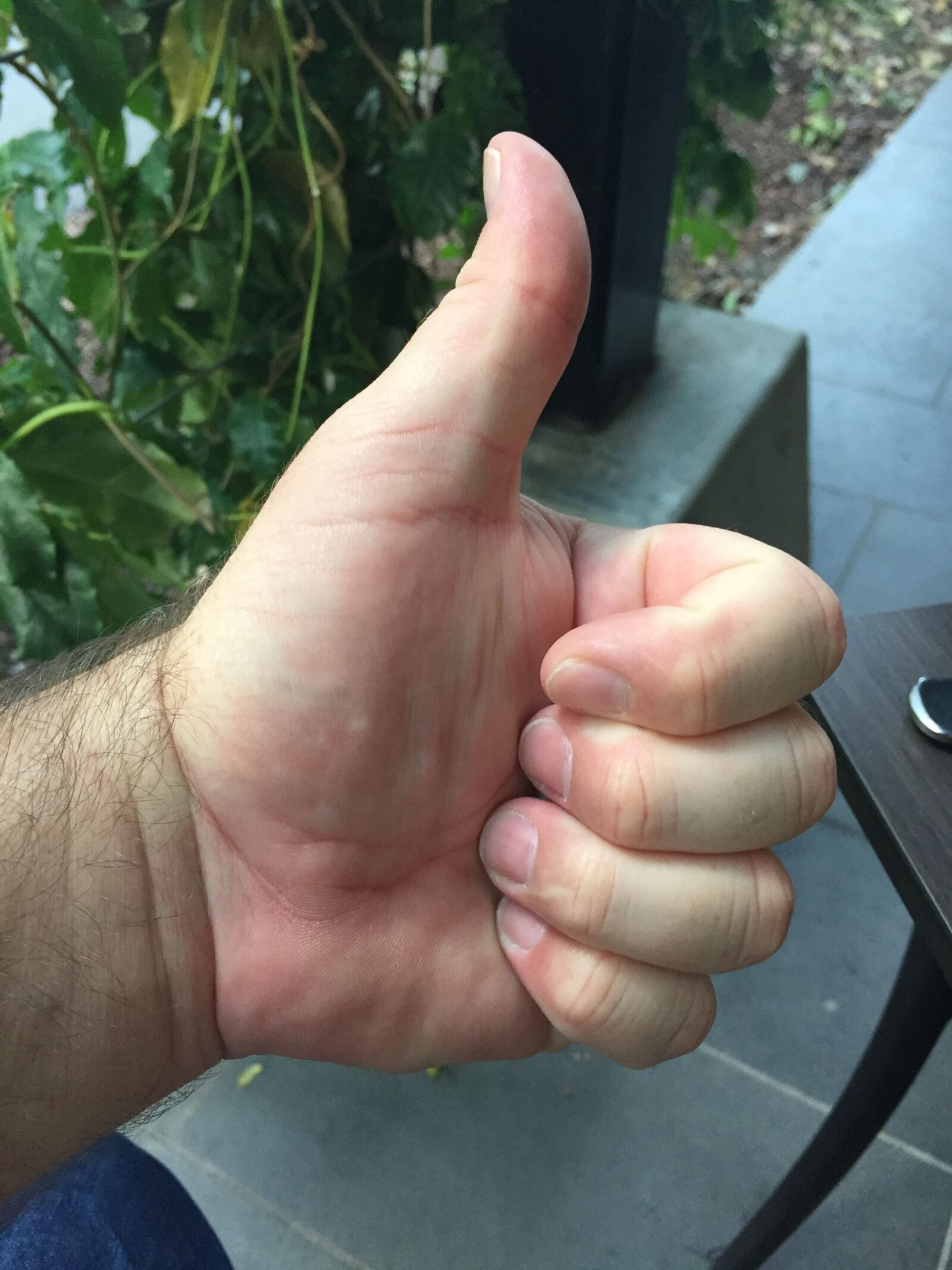 Apple iPhone 6 sample photo. Hand, okay, thumbs, up photography