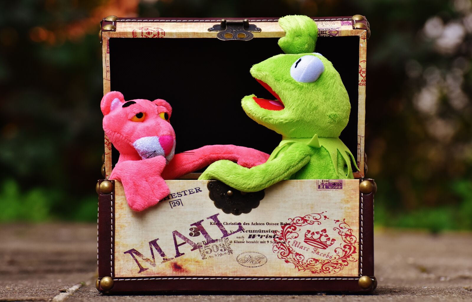 Nikon D7200 sample photo. Plush toys, kermit, the photography