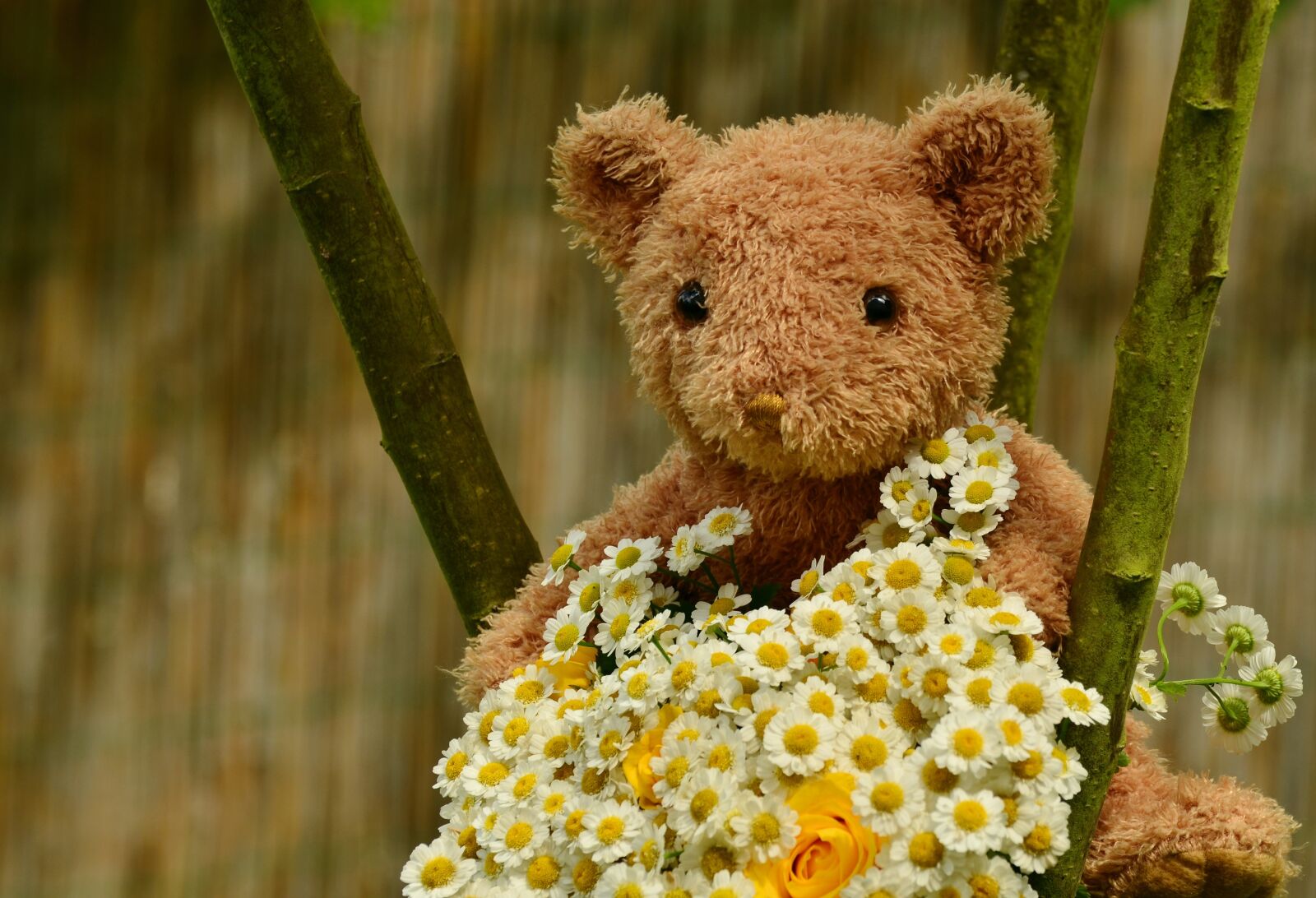 Nikon D5100 sample photo. Bouquet, teddy, teddy bear photography