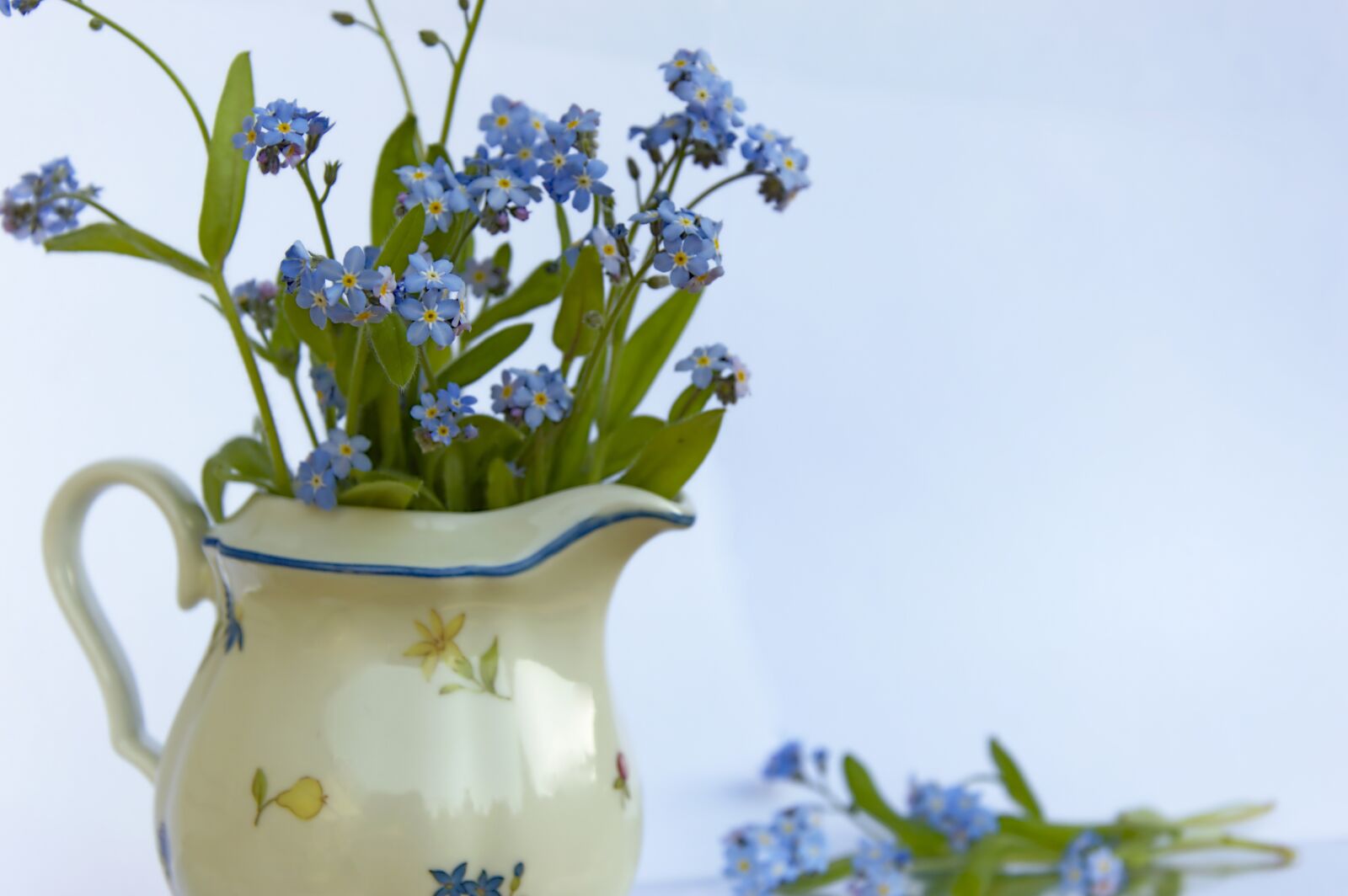 Nikon D3200 sample photo. Forget me not, flowers photography