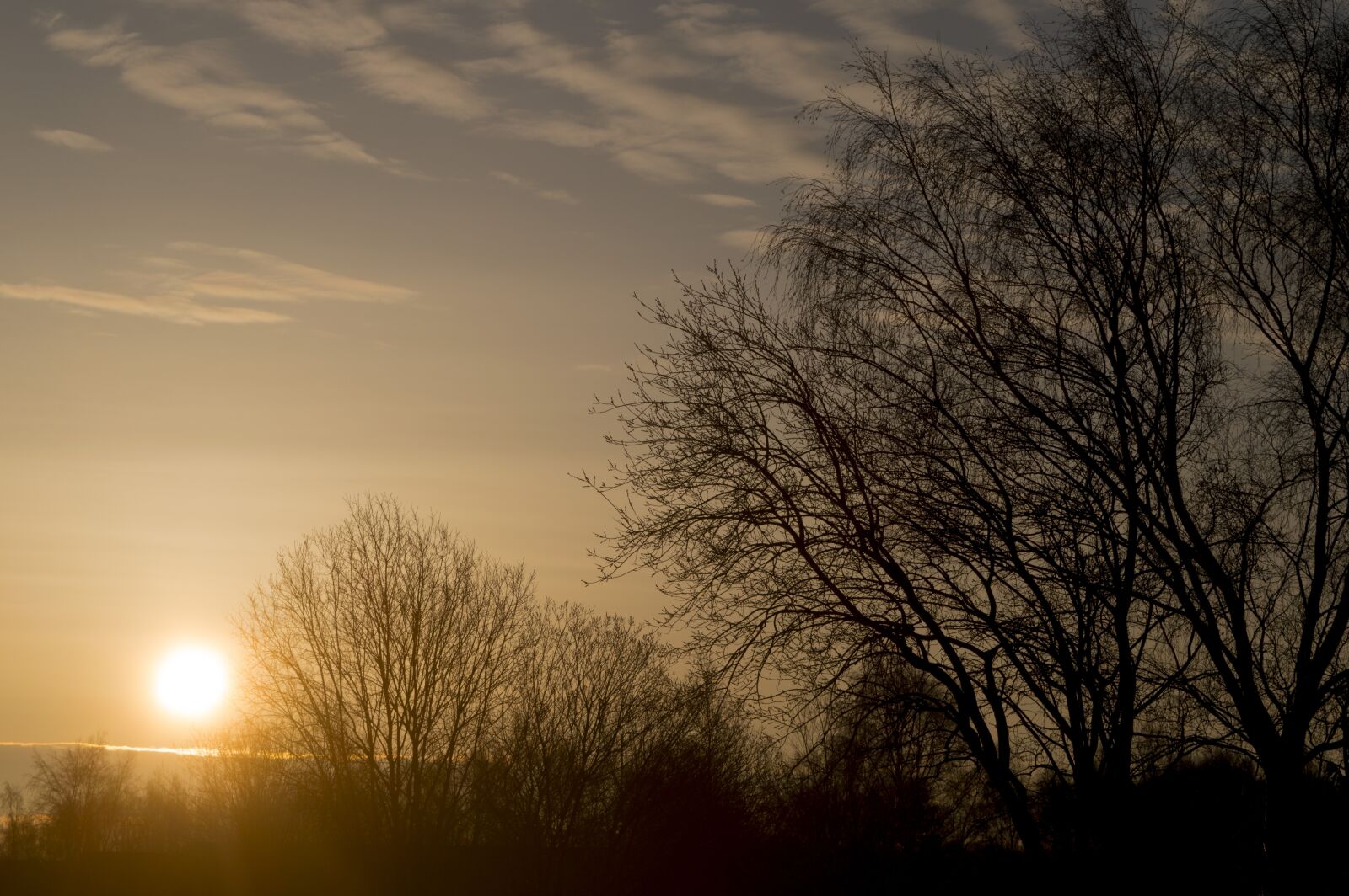 Nikon D3200 sample photo. Sunrise, dawn, tree photography