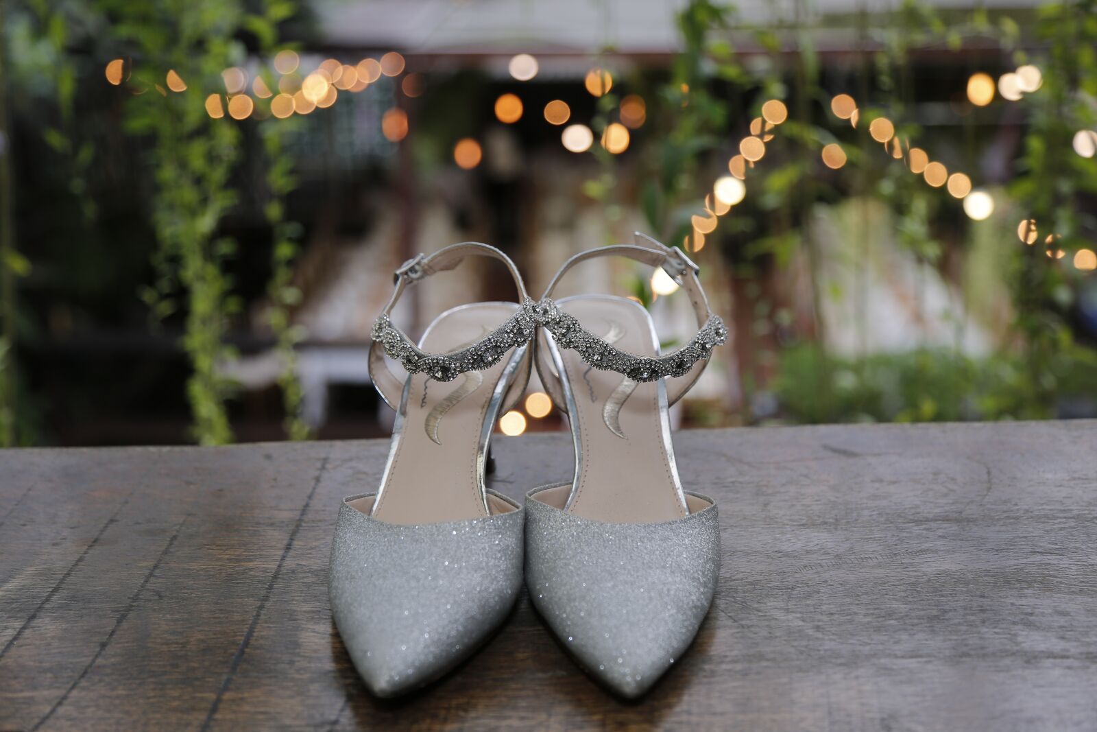 Canon EF 24-105mm F4L IS USM sample photo. Wedding day, wedding shoes photography