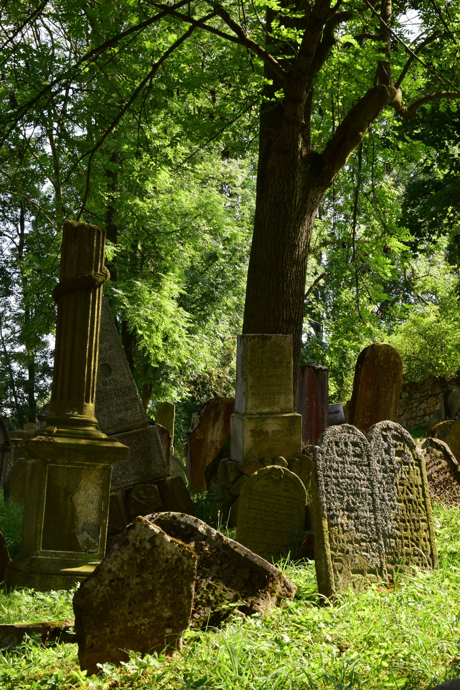 Nikon D5300 sample photo. Jewish cemetery, tombstone, forest photography
