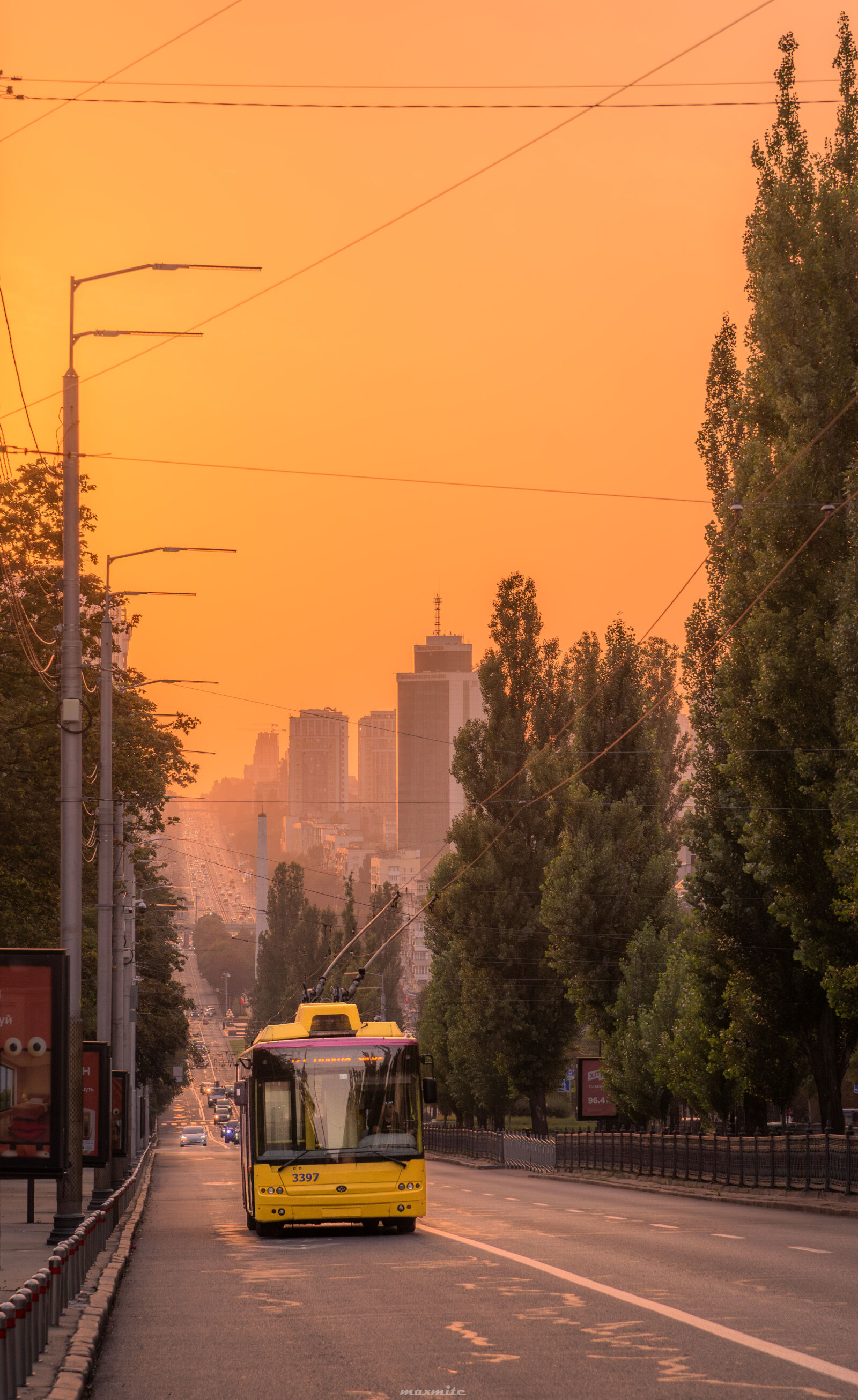 Nikon D750 sample photo