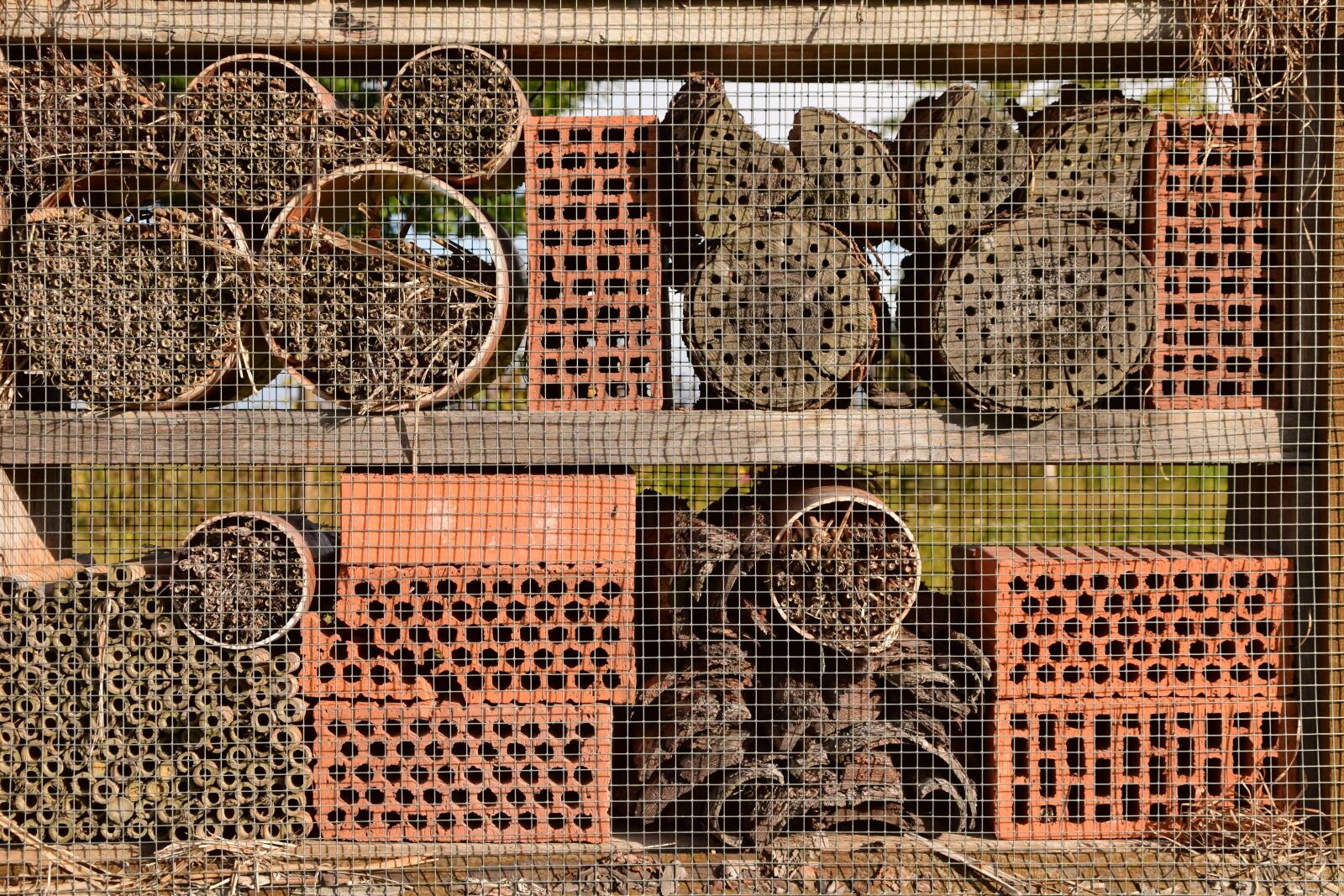 Nikon D3300 sample photo. Bee house, wild bees photography