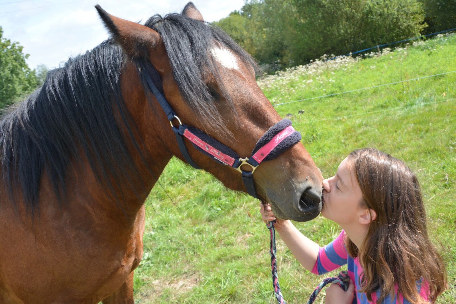 Nikon D5200 sample photo. Kiss, horse, girl photography