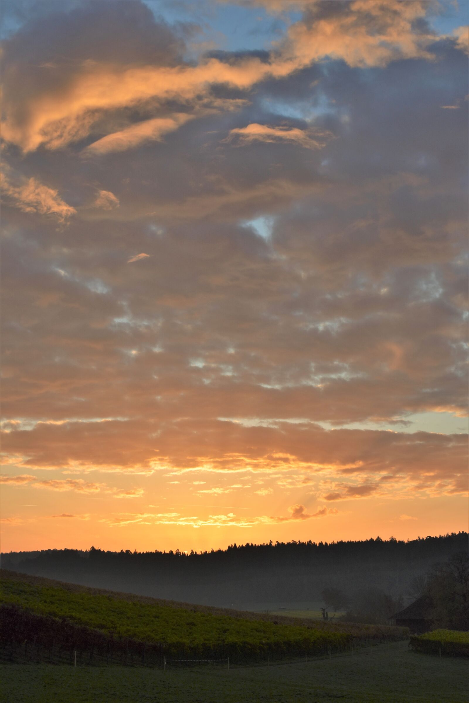 Nikon D5500 sample photo. Sunrise, landscape, sky photography