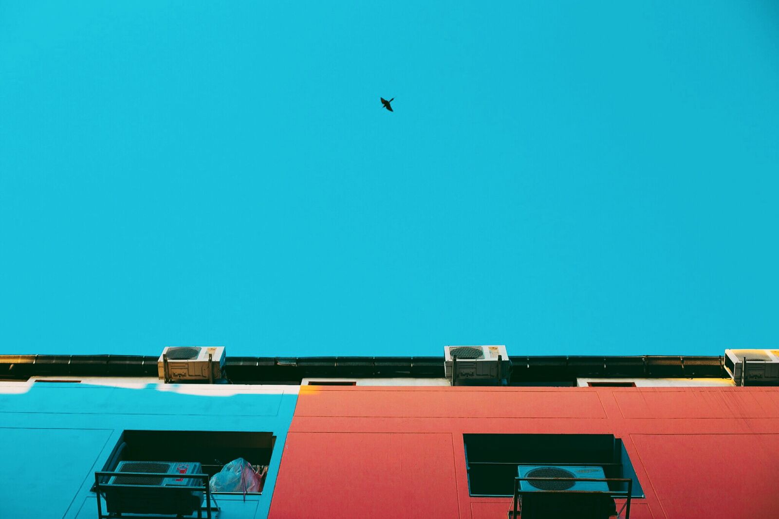 Canon EOS 6D + Canon EF 50mm F1.4 USM sample photo. Bird, blue, building, buildings photography