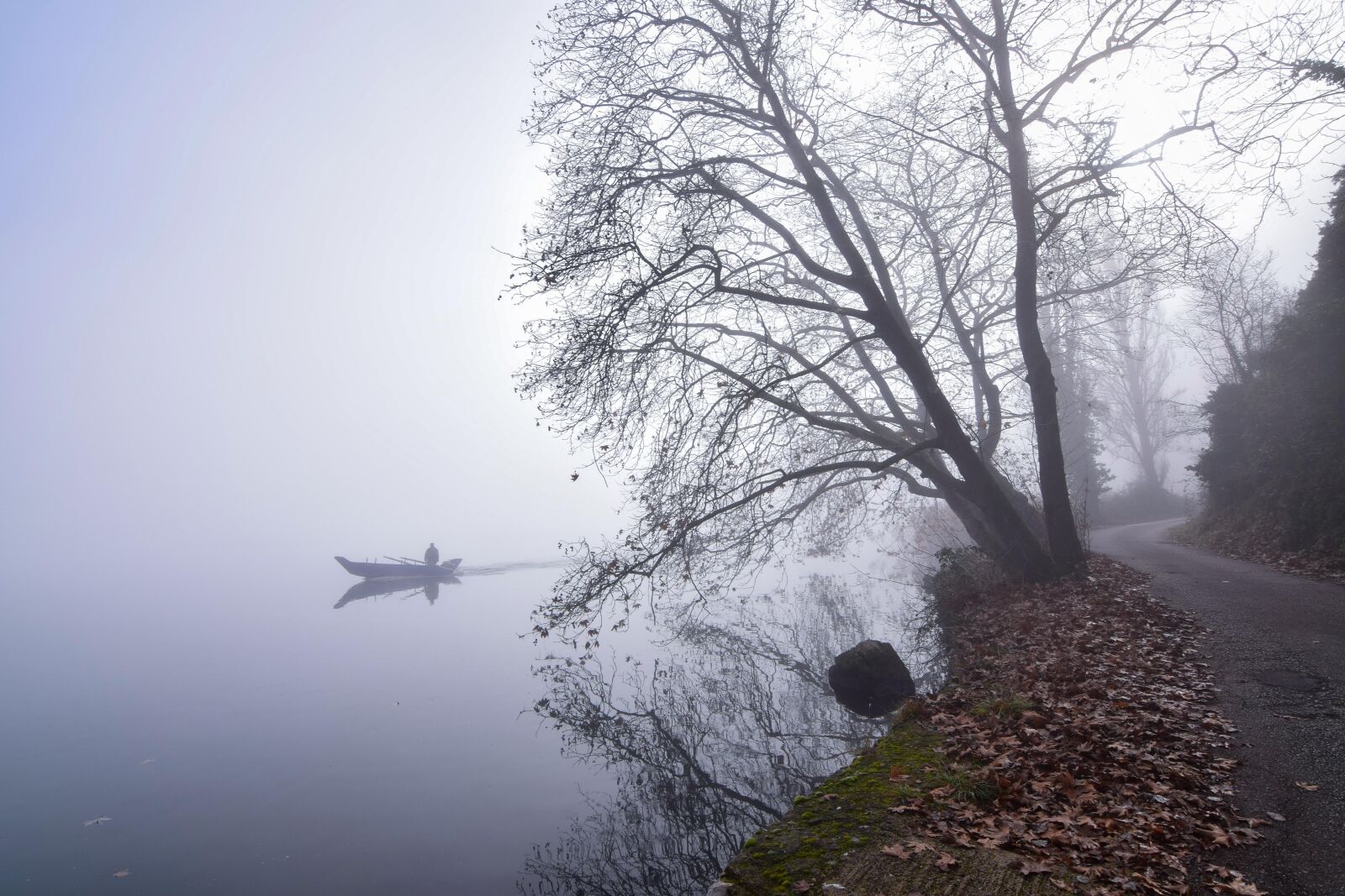 Nikon D5300 sample photo. Fog, lake, boat photography