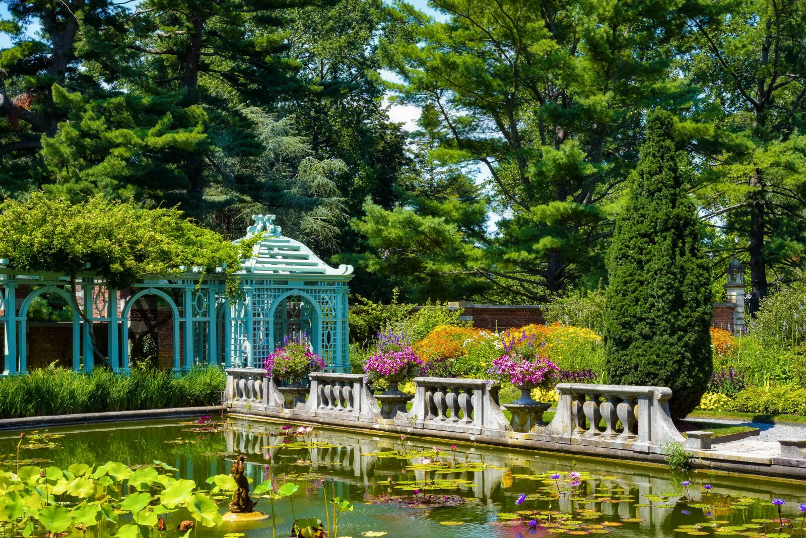 Nikon D750 sample photo. Garden, park, tree photography