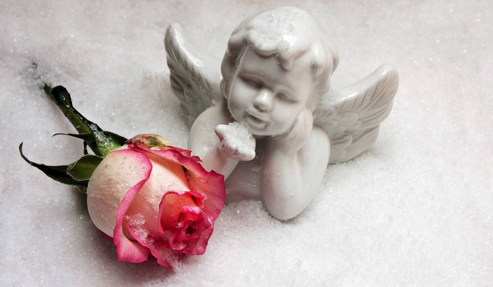 Canon EOS 550D (EOS Rebel T2i / EOS Kiss X4) sample photo. Statue, white angel, flower photography