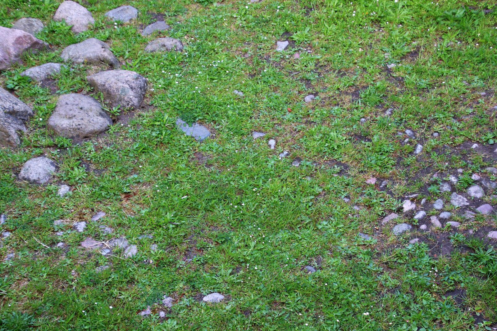 Canon EOS 7D Mark II sample photo. Background, boulders, grass, green photography
