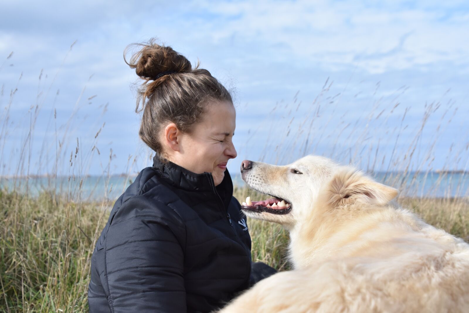Nikon D3400 sample photo. Dog, cute, doggy photography