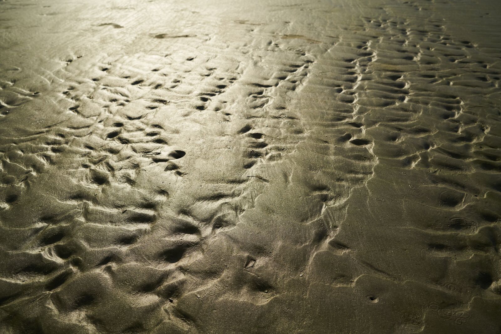 Sony a7R II sample photo. Beach, terry, solar photography