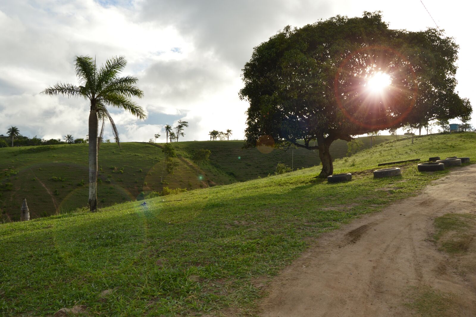 Nikon D3200 sample photo. Flying, sky, sol photography