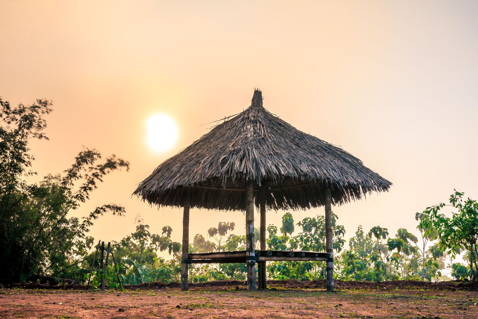 Canon EOS 60D sample photo. Beautiful, hd wallpaper, sunlight photography