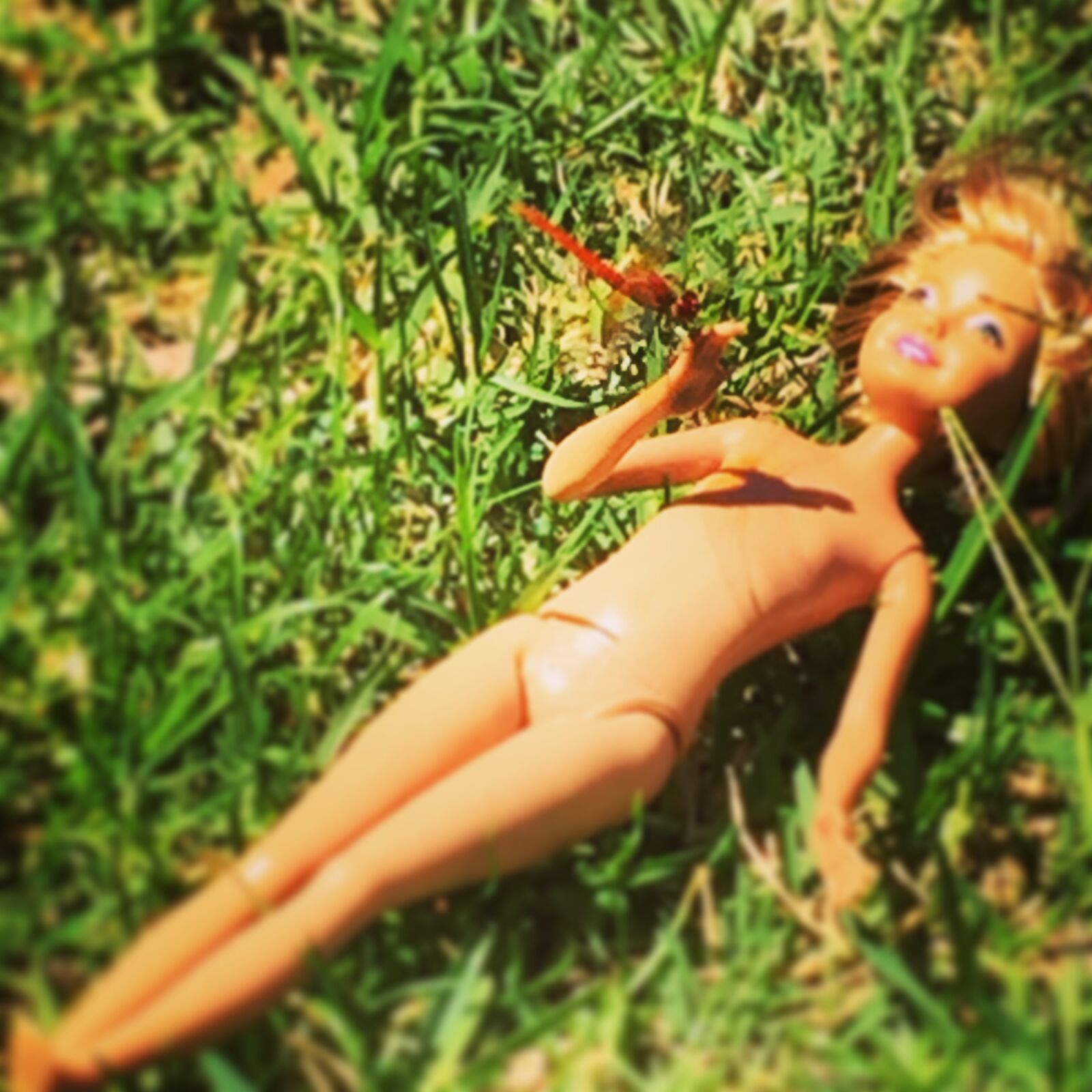 Apple iPhone 6 sample photo. Barbie, doll, dragonfly photography