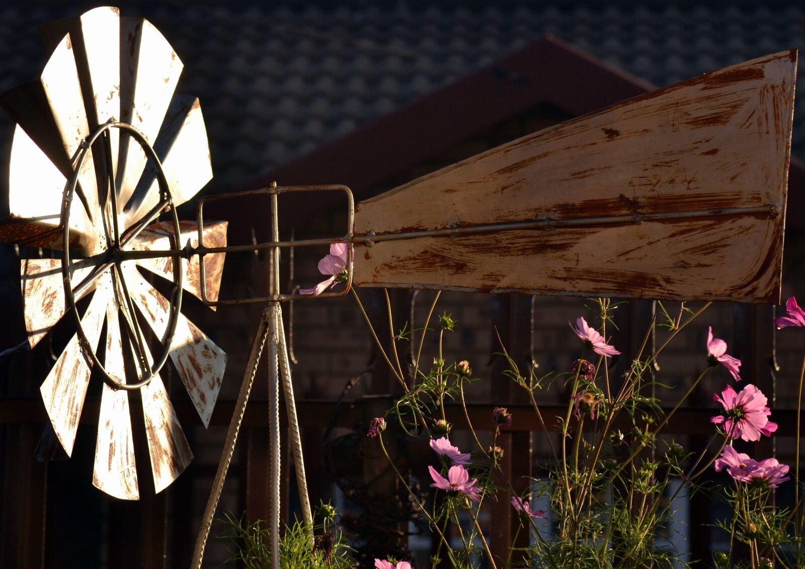 Nikon D3100 sample photo. Windmill, sunlight, spring photography
