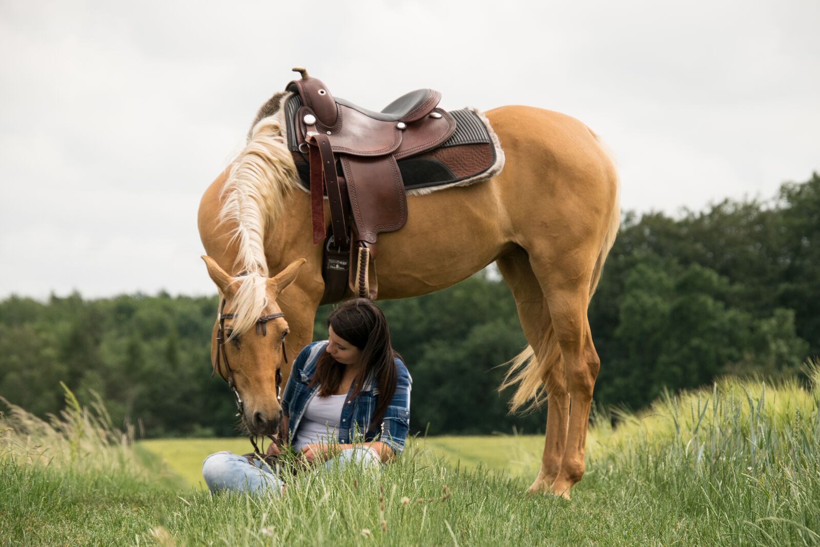Nikon D3300 sample photo. Arabs, horse, human photography