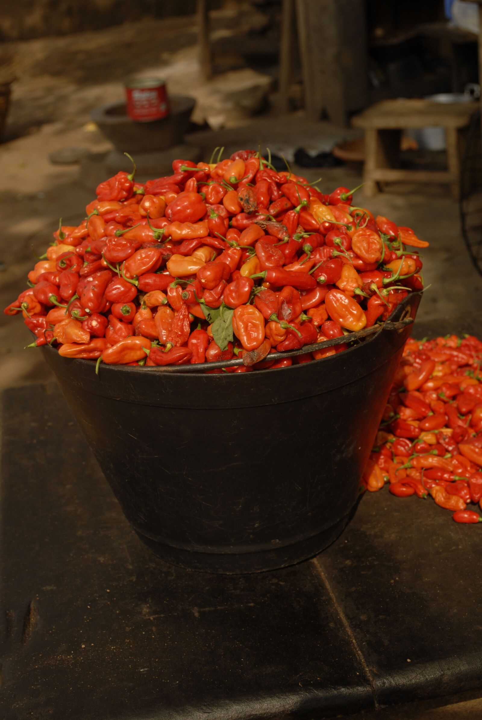 Nikon D200 sample photo. Red peppers, food, red photography