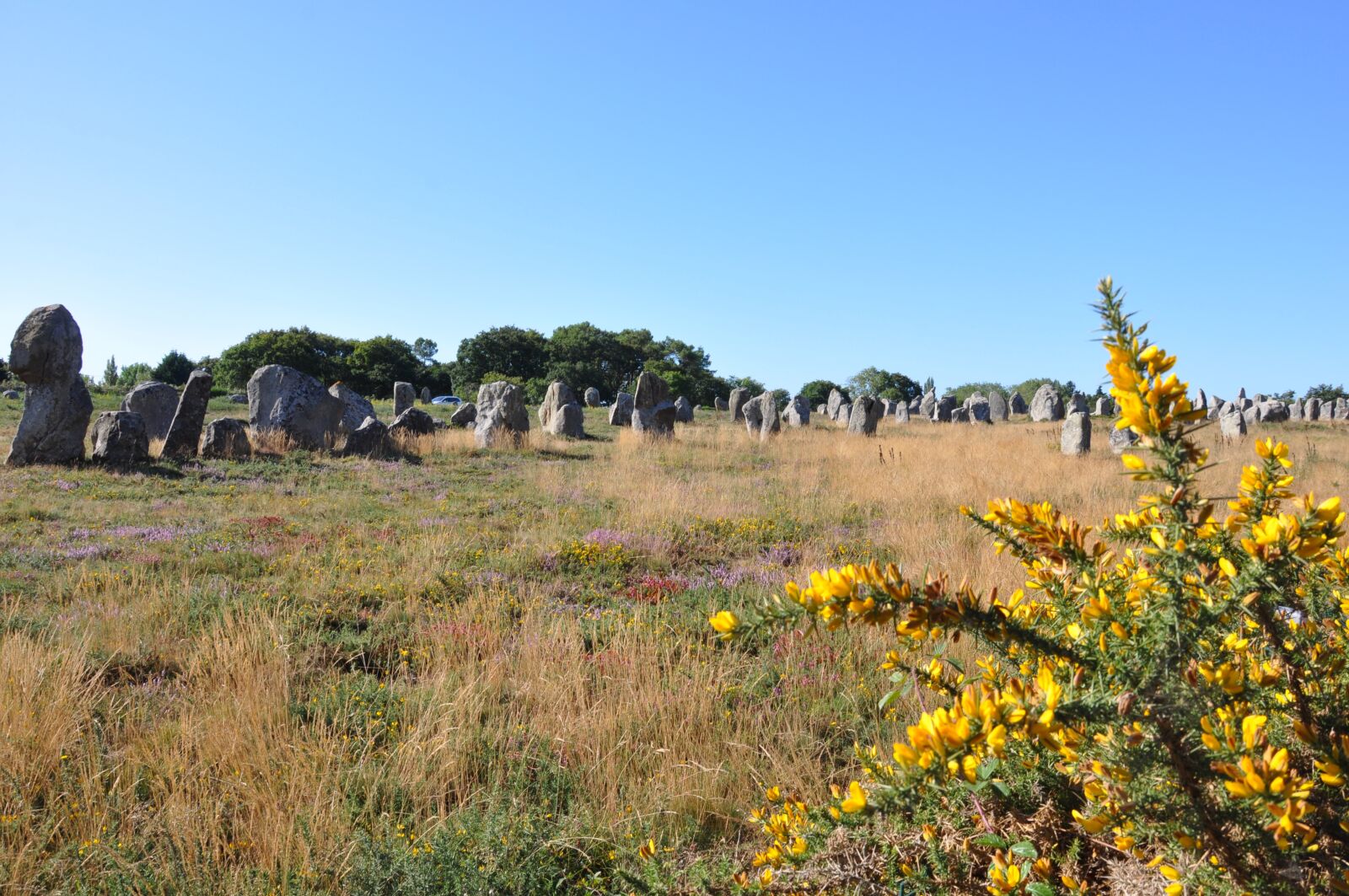 Nikon D90 sample photo. Pierre, field, landscape photography