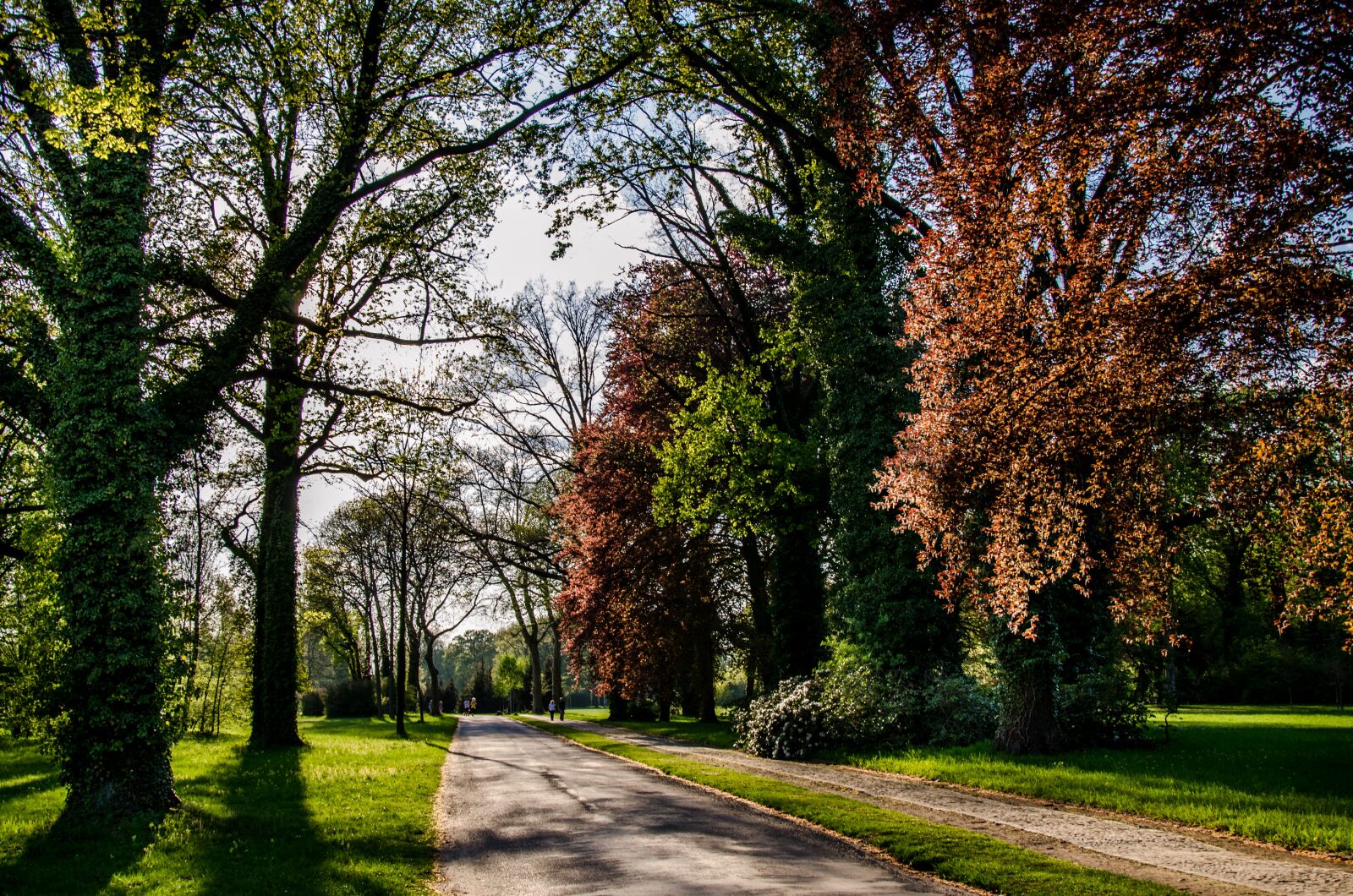Nikon D7000 sample photo. Spring, in the park photography