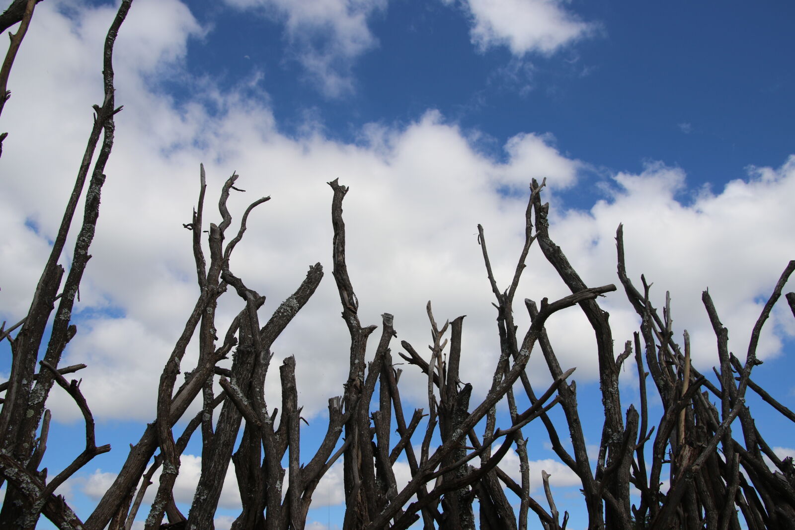 Canon EOS 7D Mark II sample photo. Background, blue, blue, skies photography