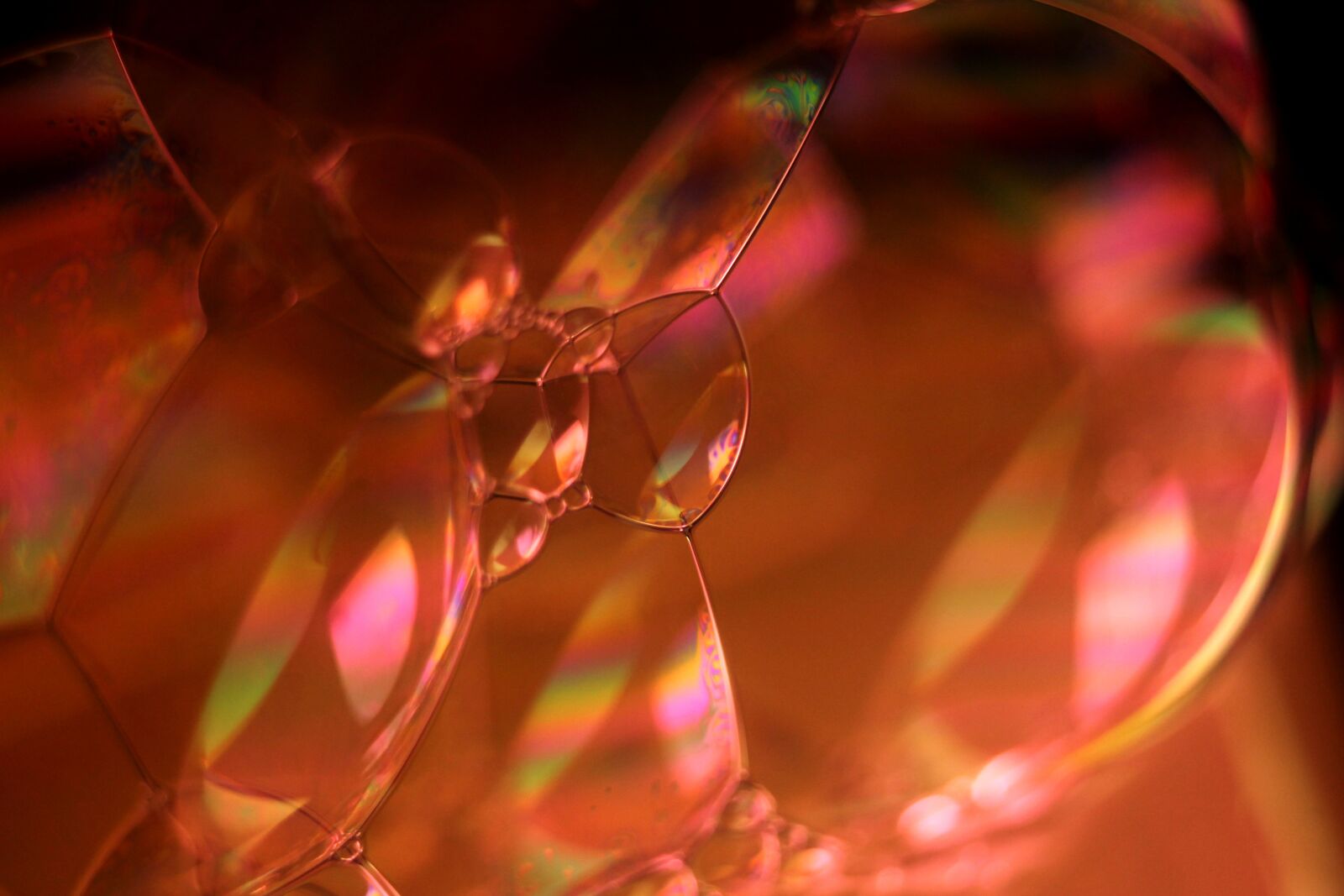 Canon EOS 1100D (EOS Rebel T3 / EOS Kiss X50) sample photo. Bubbles, blow, soap bubble photography