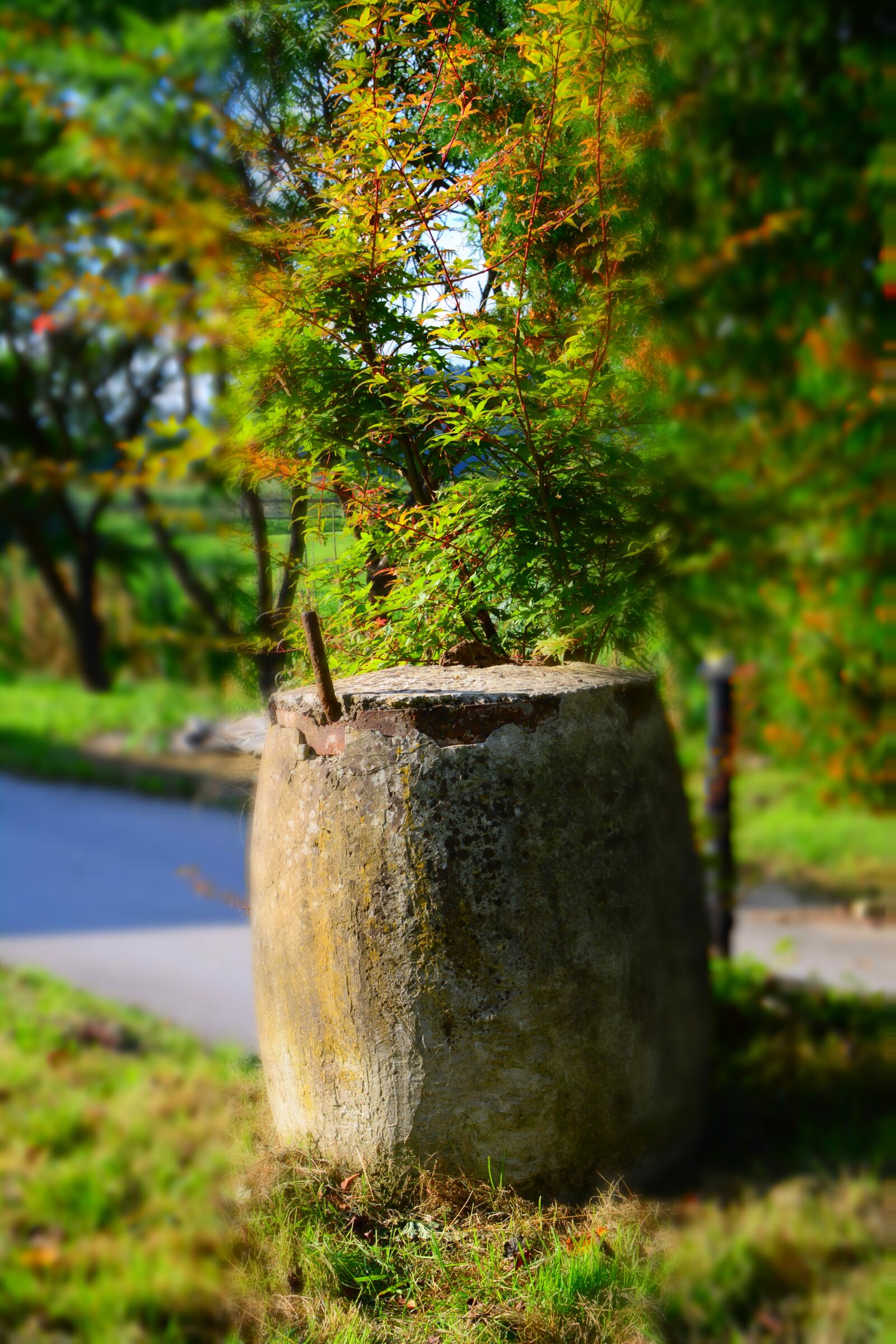 Nikon D5200 sample photo. Stone, concrete, grass photography