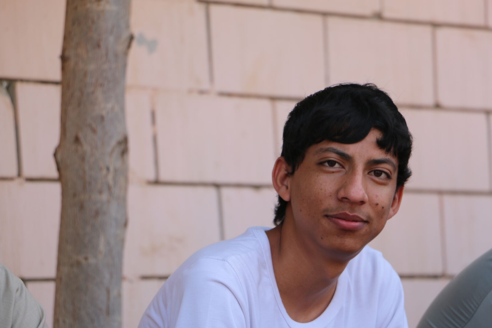 Canon EOS 70D sample photo