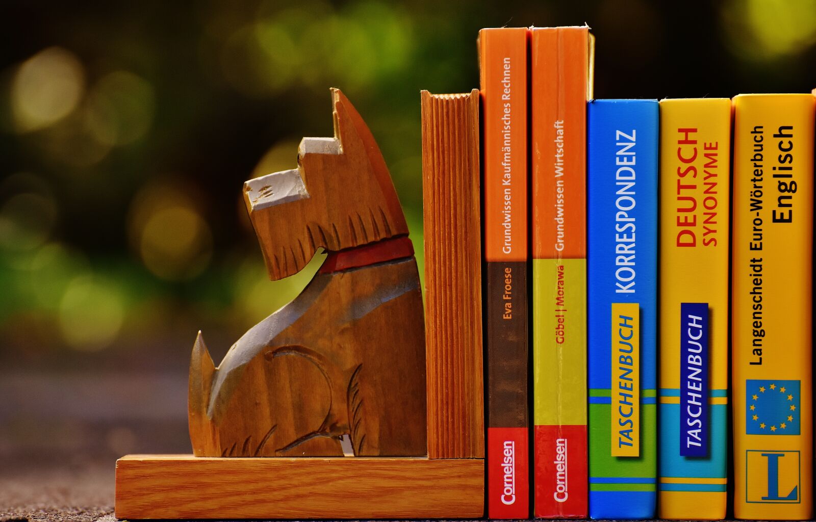 Nikon D7200 sample photo. Bookends, dog, books photography