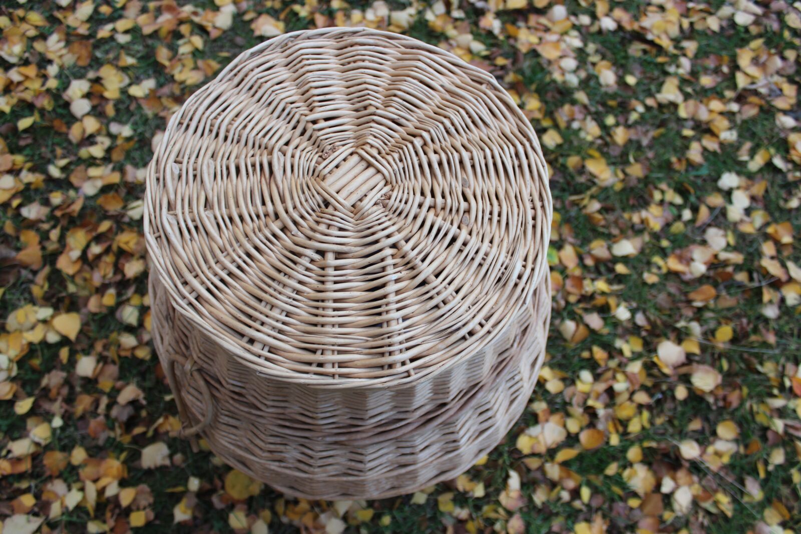 Canon EOS 600D (Rebel EOS T3i / EOS Kiss X5) sample photo. Basket, wicker, laundry basket photography