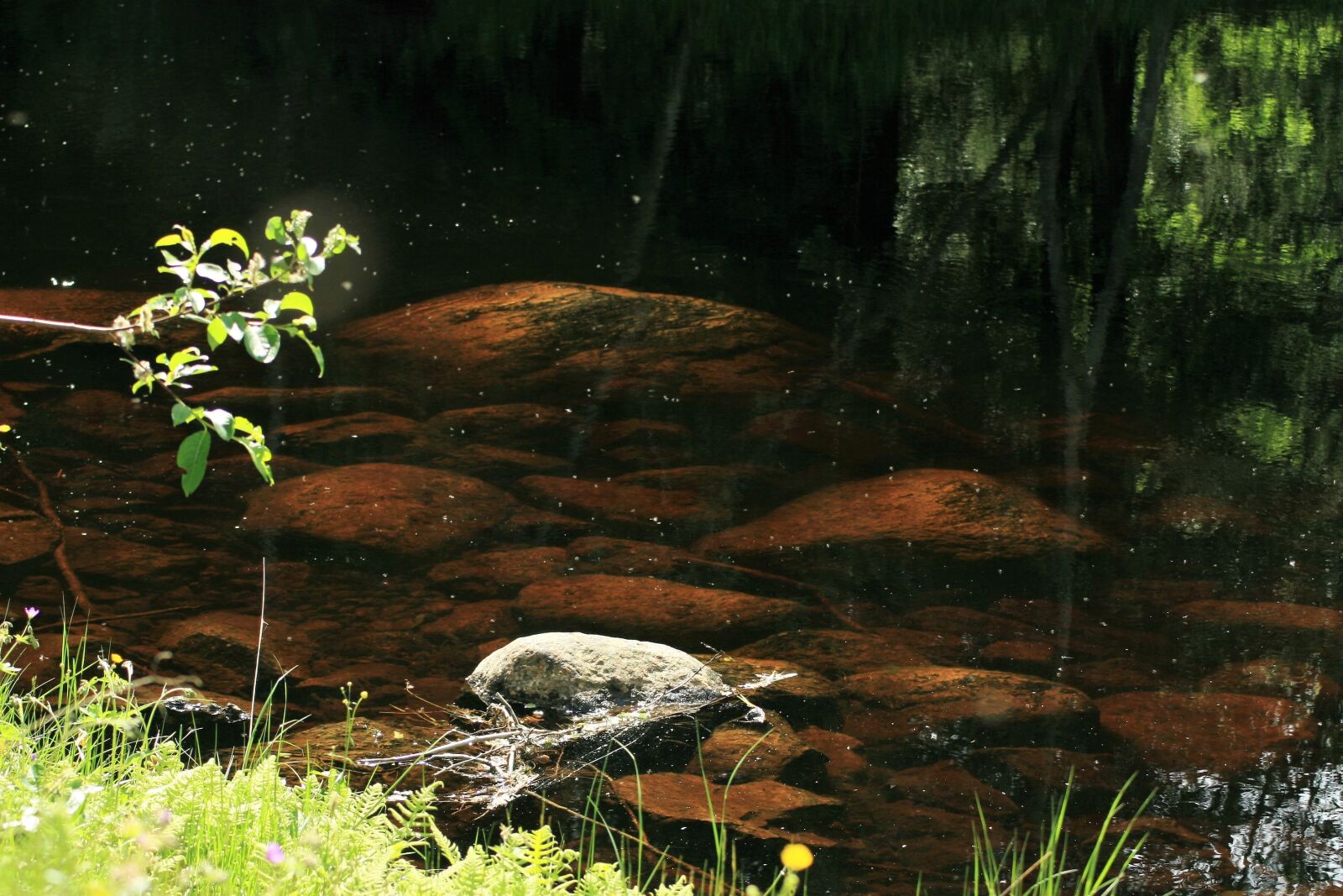 Canon EOS 30D sample photo. Water, å, stones photography