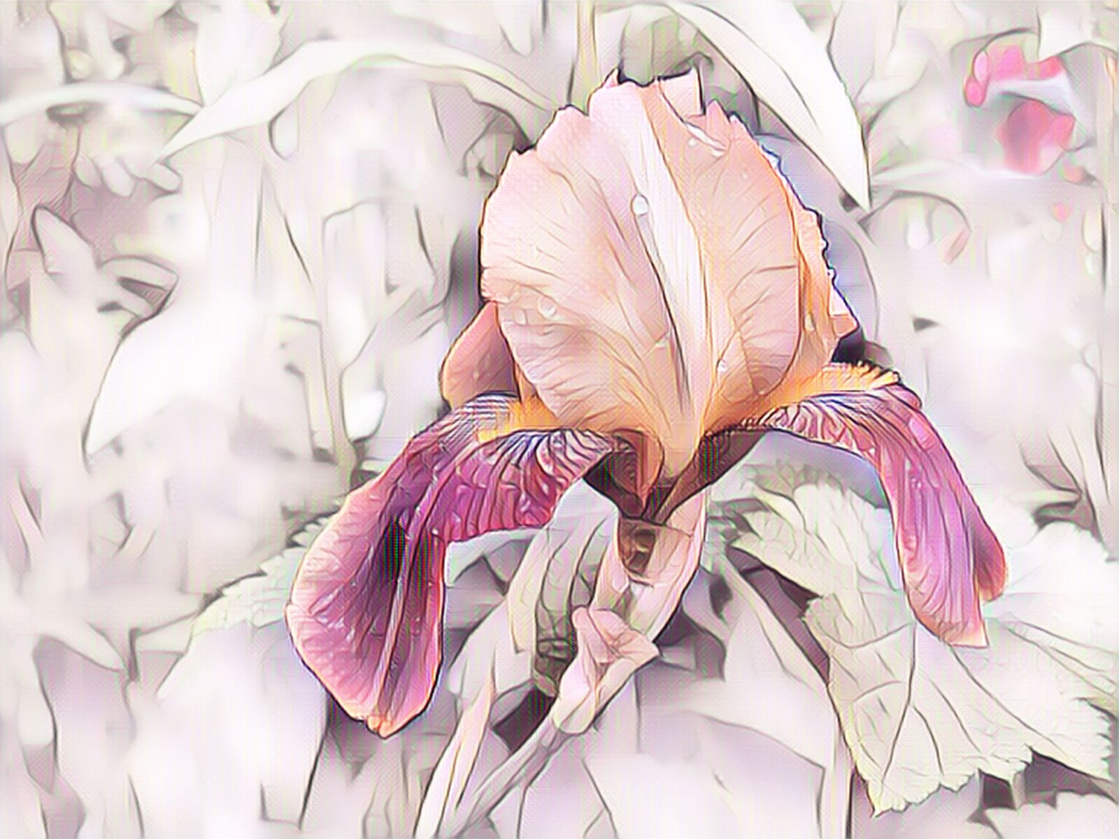Canon PowerShot G15 sample photo. Iris, digital painting, flower photography