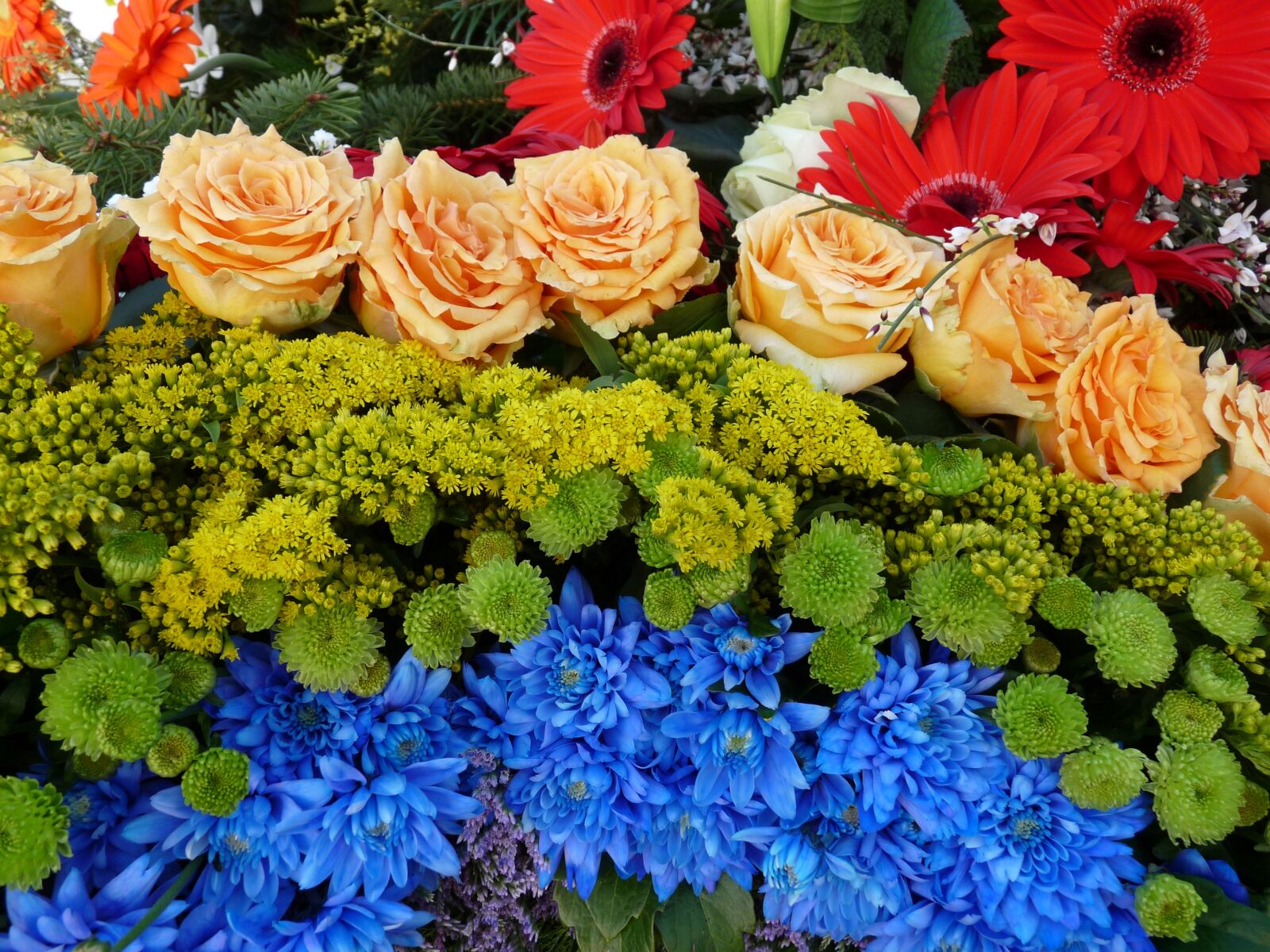 Panasonic Lumix DMC-FZ28 sample photo. Roses, flowers, farewell photography