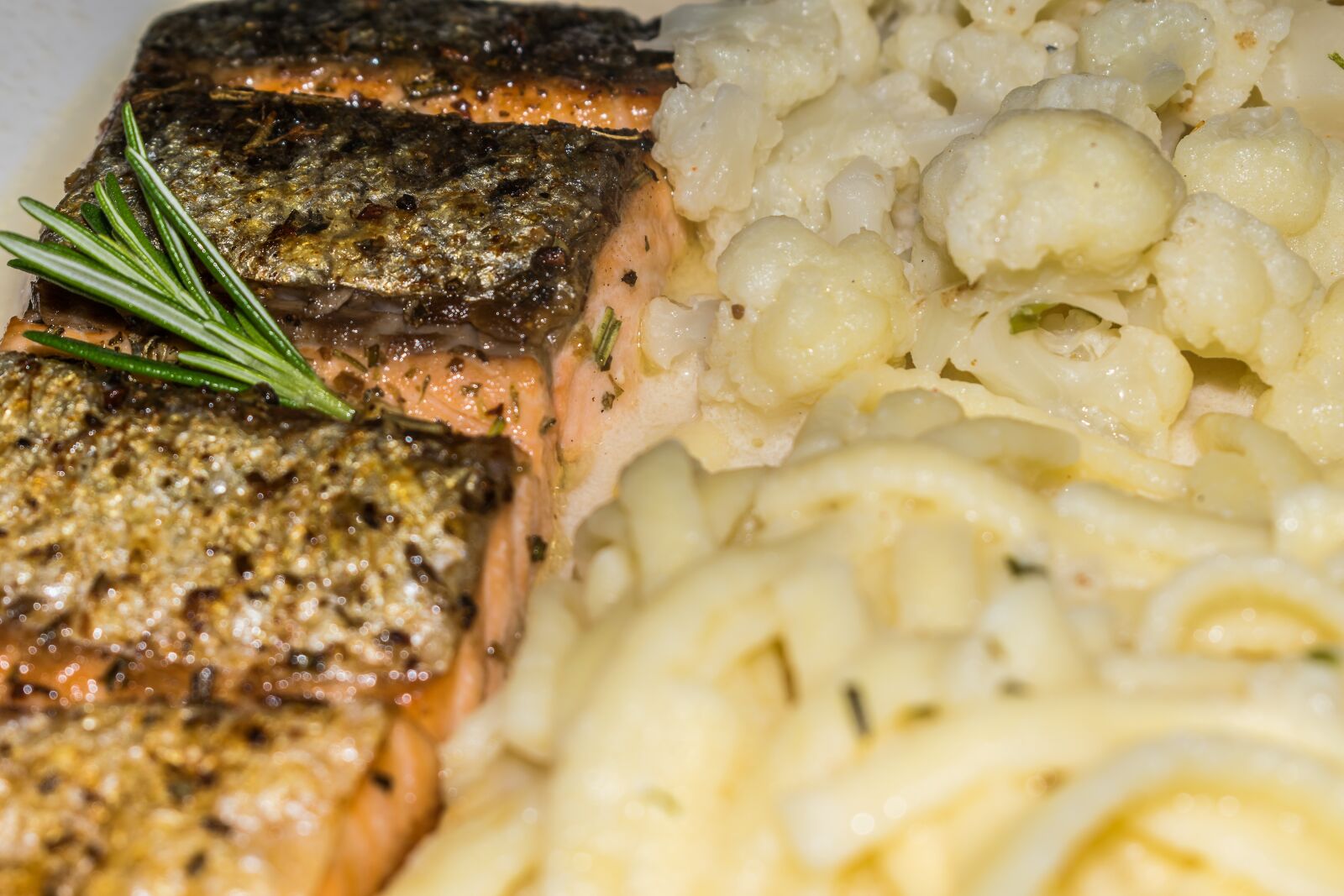 Nikon D5300 sample photo. Salmon, salmon fillet, skin photography