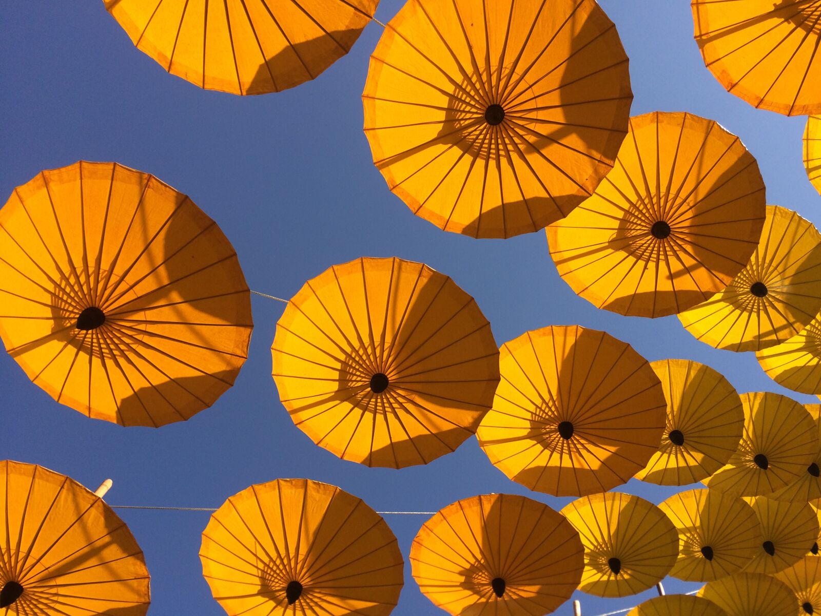iPhone 5s back camera 4.15mm f/2.2 sample photo. Parasol, blue sky, heaven photography