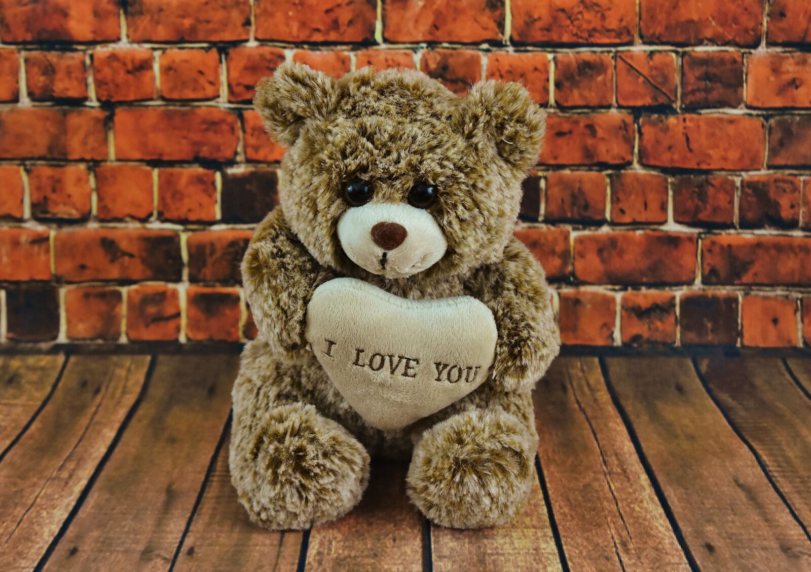 Nikon D7200 sample photo. Teddy, valentine's day, love photography