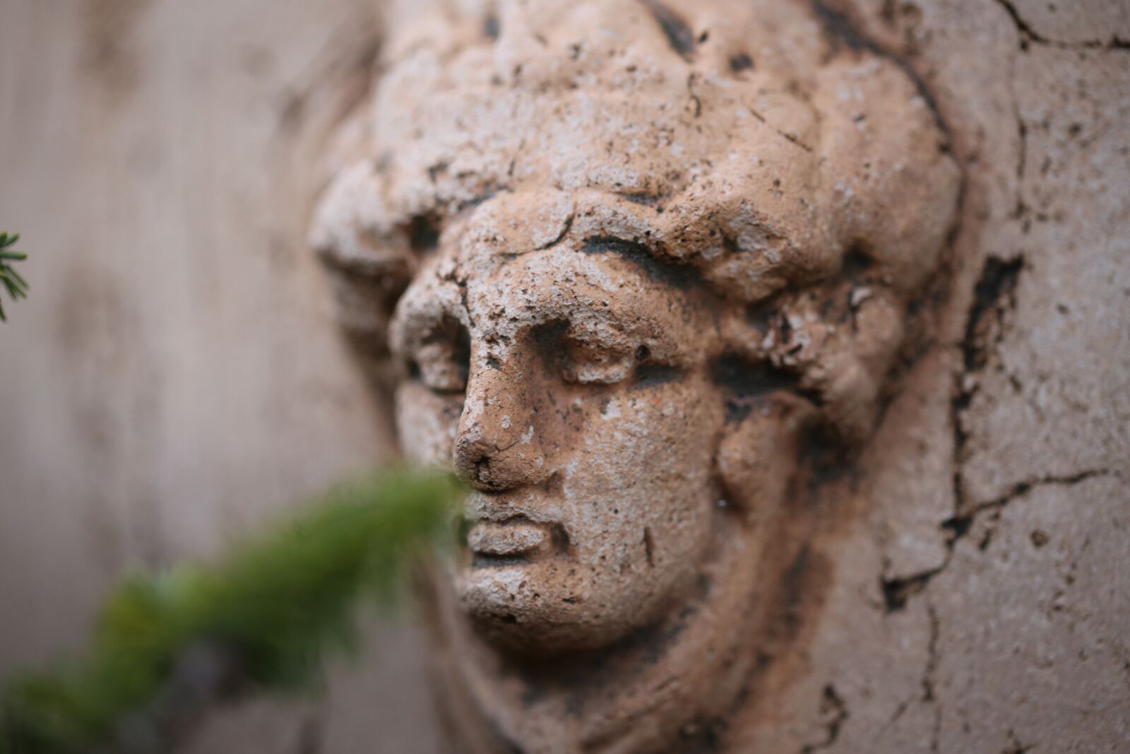 Canon EF 100mm F2.8L Macro IS USM sample photo. Bust, garden, sculpture photography