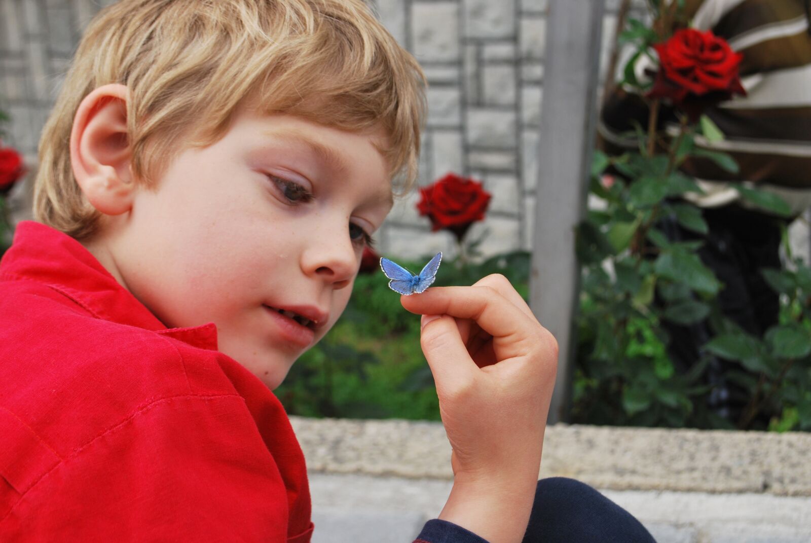 Nikon D60 sample photo. Boy, butterfly, hand photography