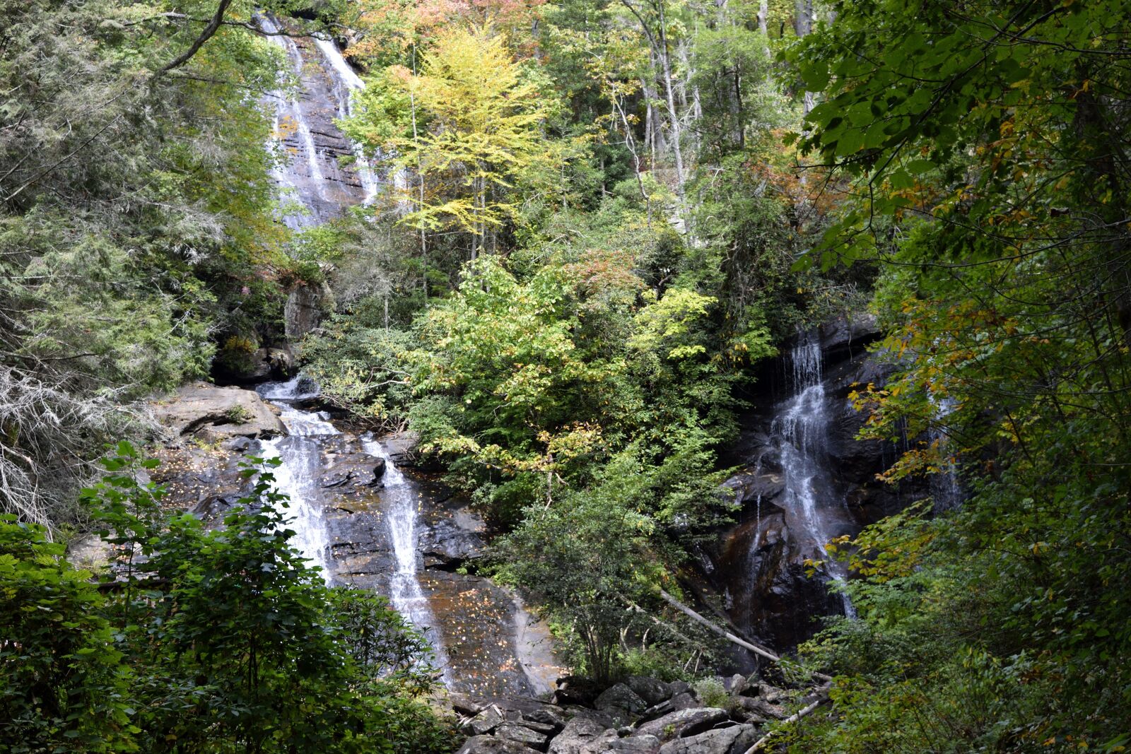 Nikon D3300 sample photo. Anna ruby falls, creek photography