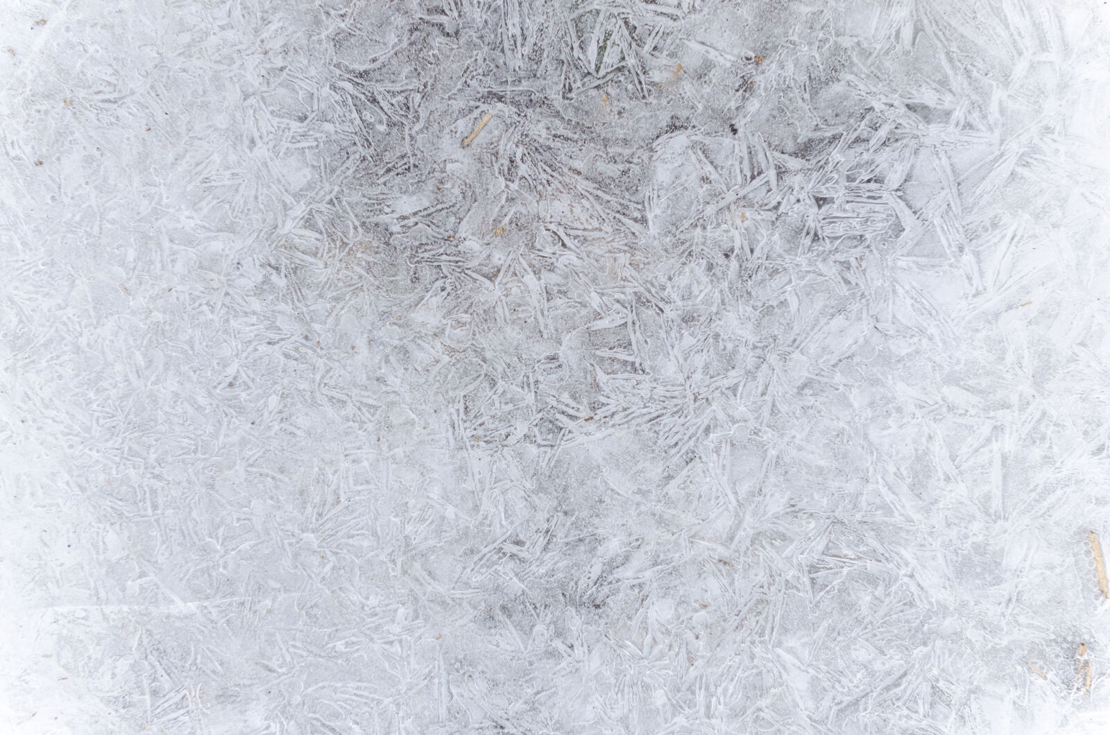 Nikon D5100 sample photo. Abstract, arctic, backdrop, background photography