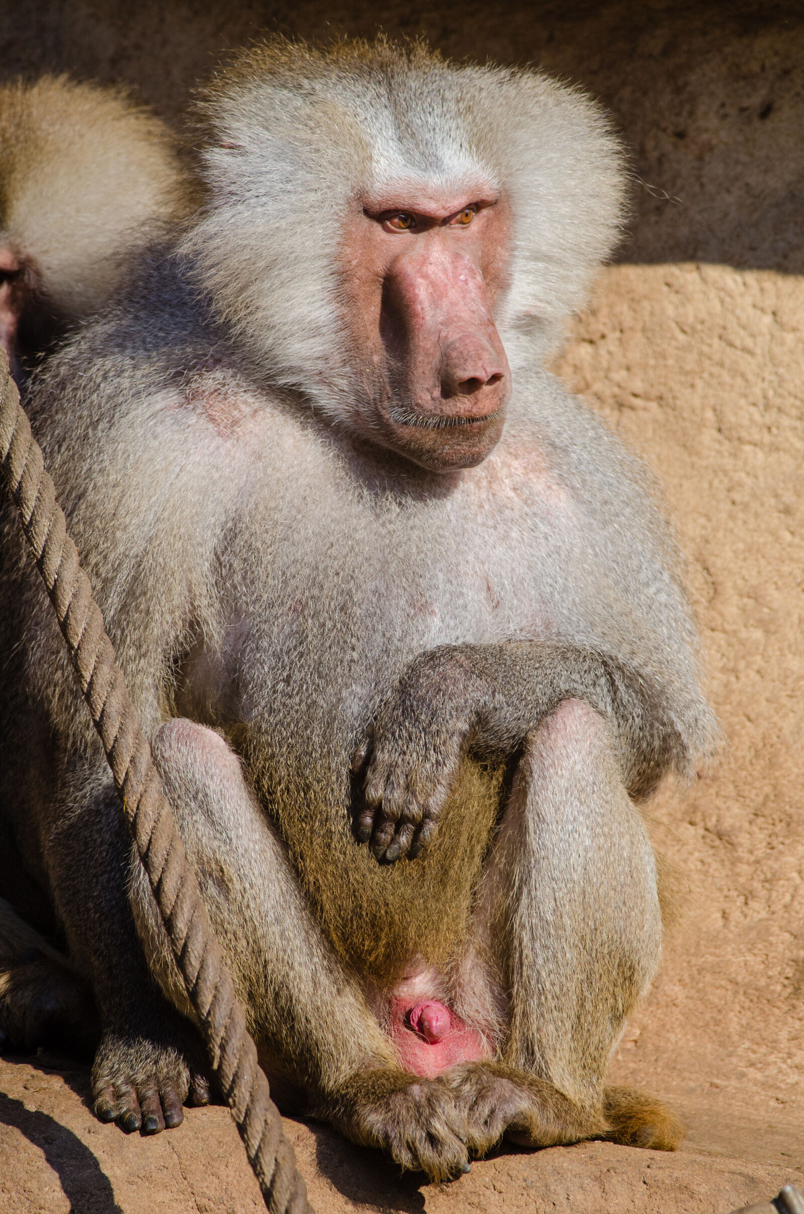 Nikon D7000 + Sigma APO Tele Macro 300mm F4 sample photo