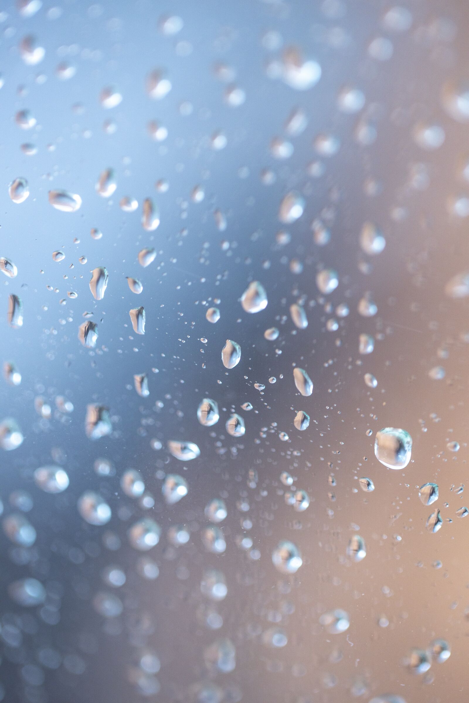 Canon EF 100mm F2.8L Macro IS USM sample photo. Water drops, drop of photography