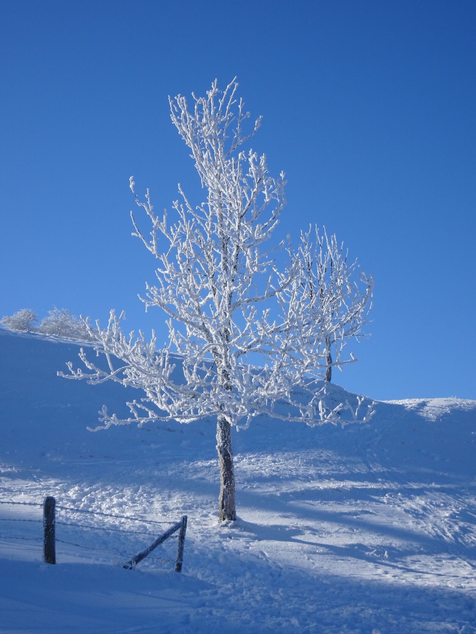 Sony Cyber-shot DSC-HX90V sample photo. Snow, winter, frost photography